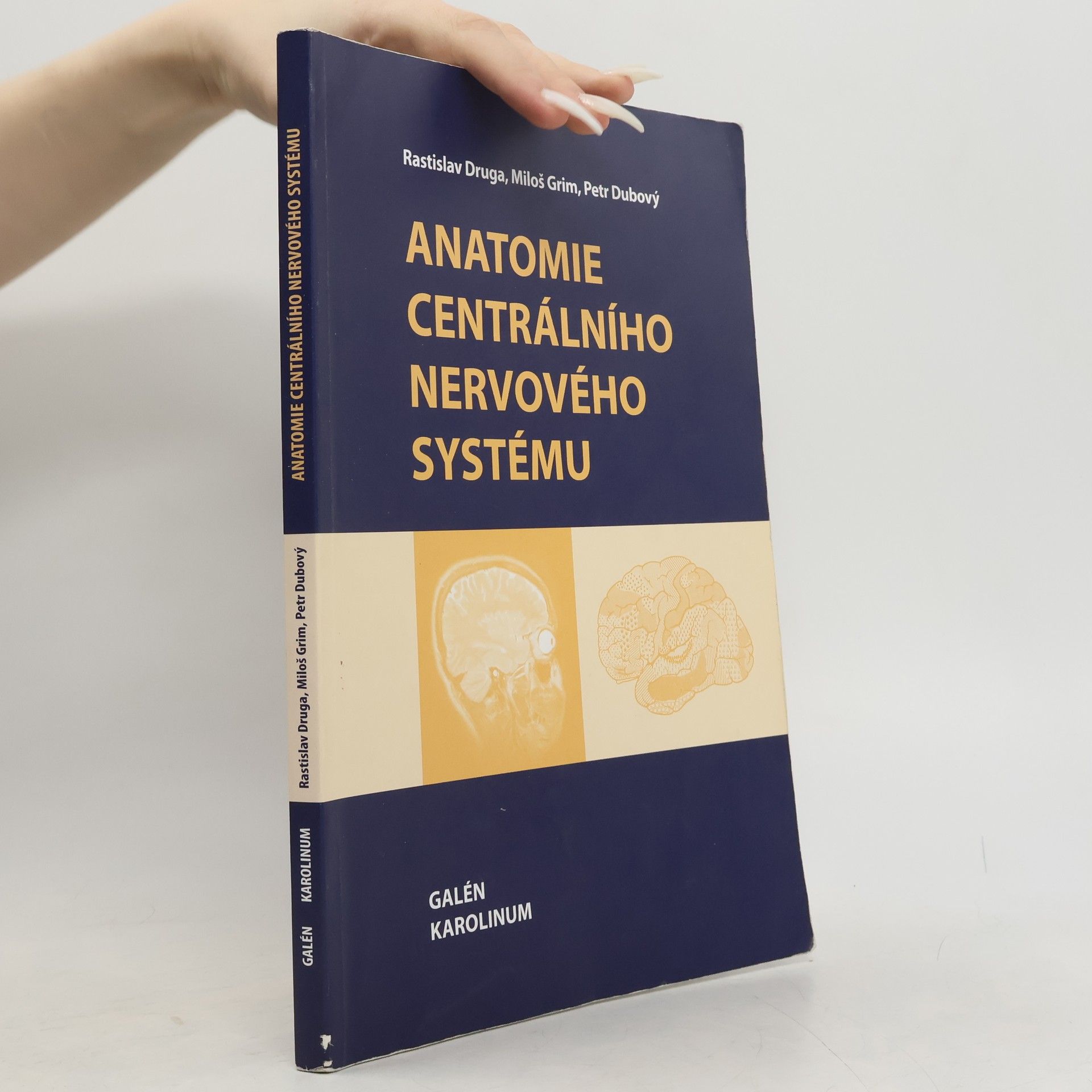 Anatomie centrálního nervového systému