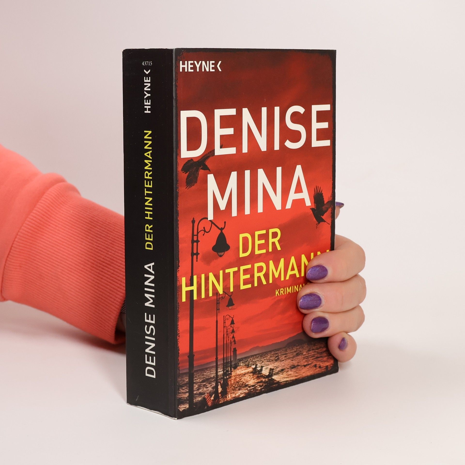 Denise Mina Der Hintermann