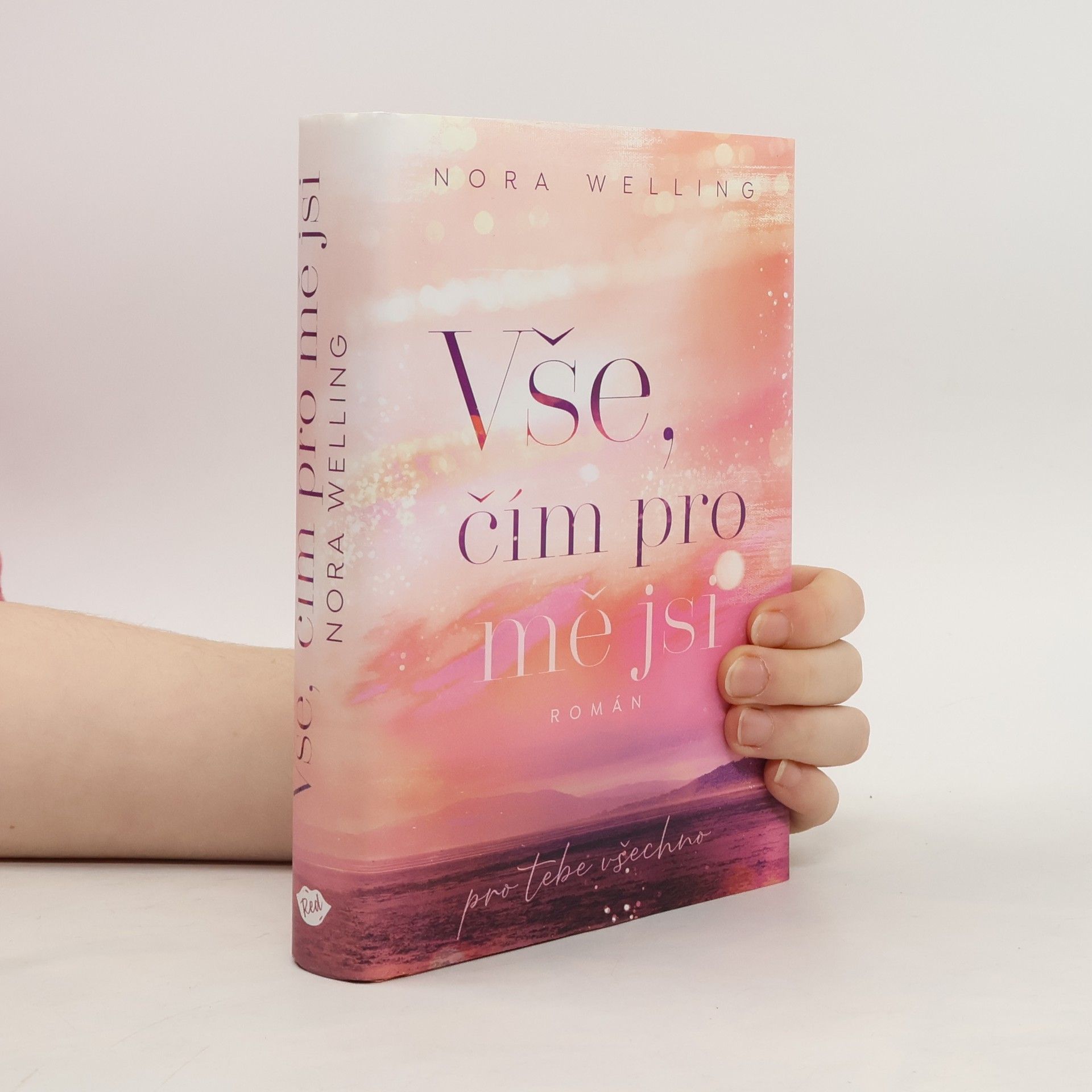 Vše, čím pro mě jsi