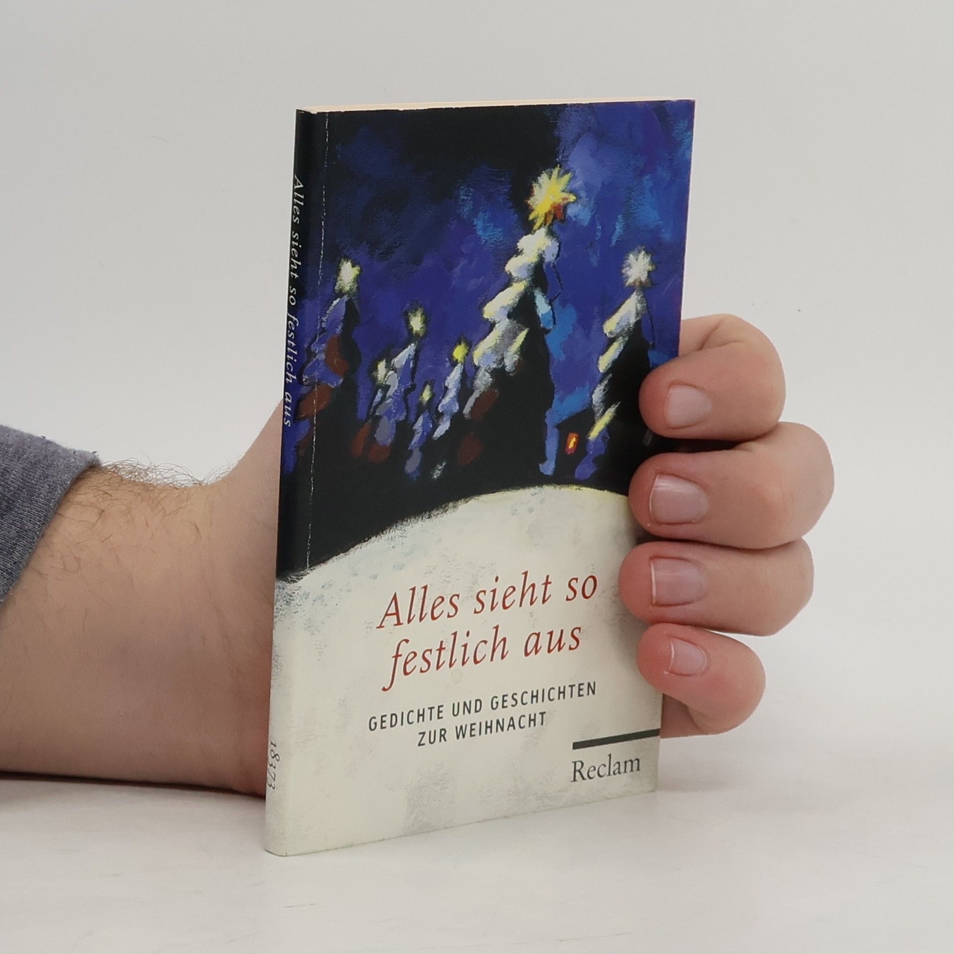 Evelyne Polt-Heinzl Alles sieht so festlich aus