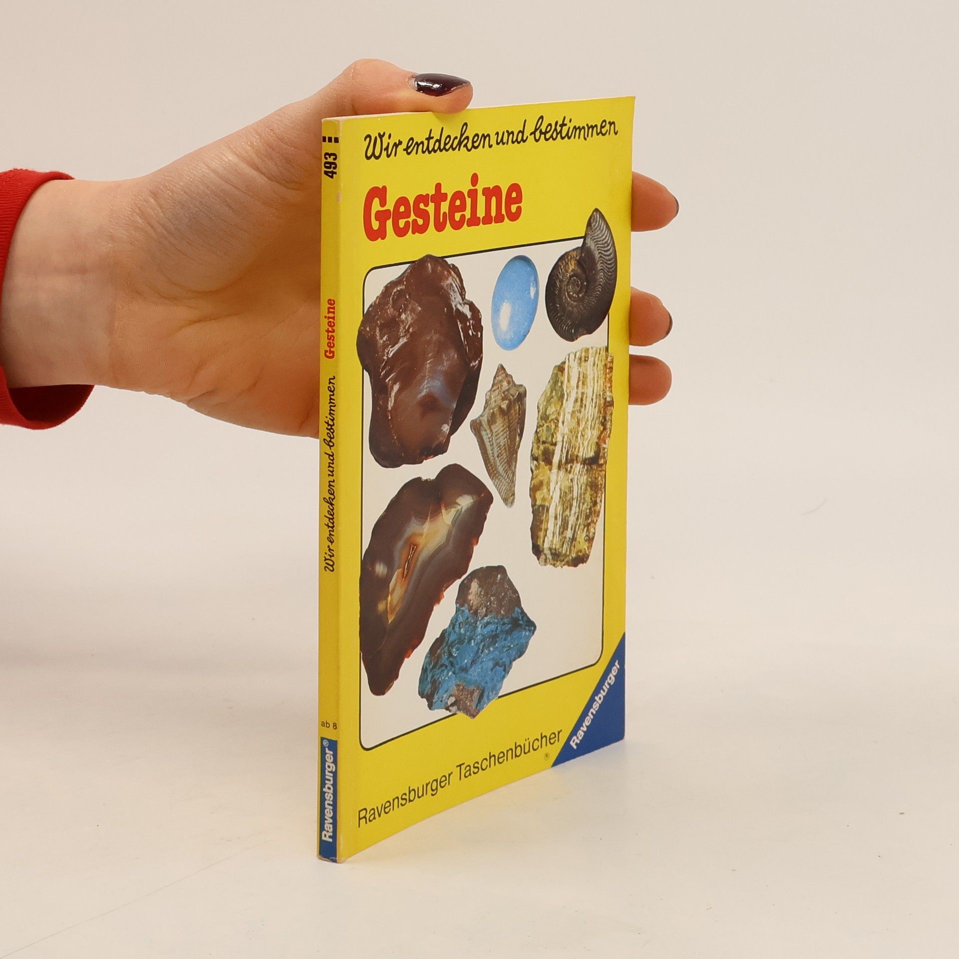 Wir entdecken und bestimmen Gesteine