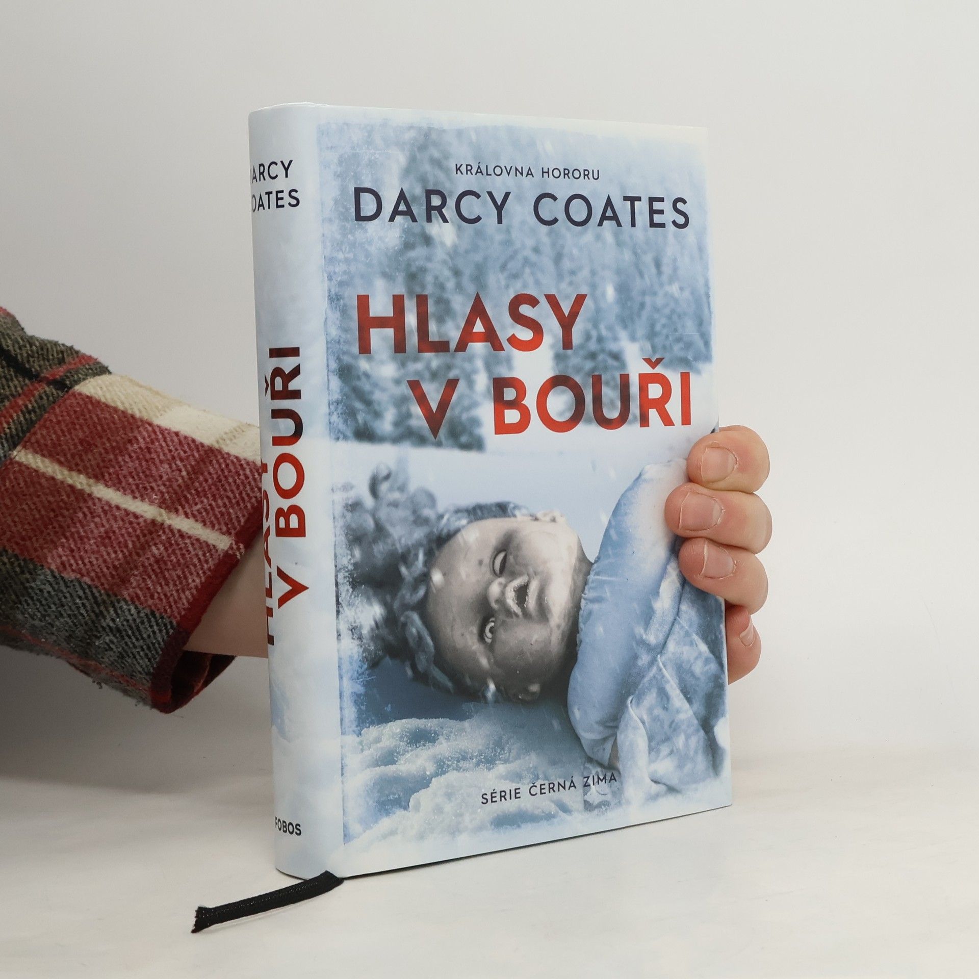 Darcy Coates Hlasy v bouři
