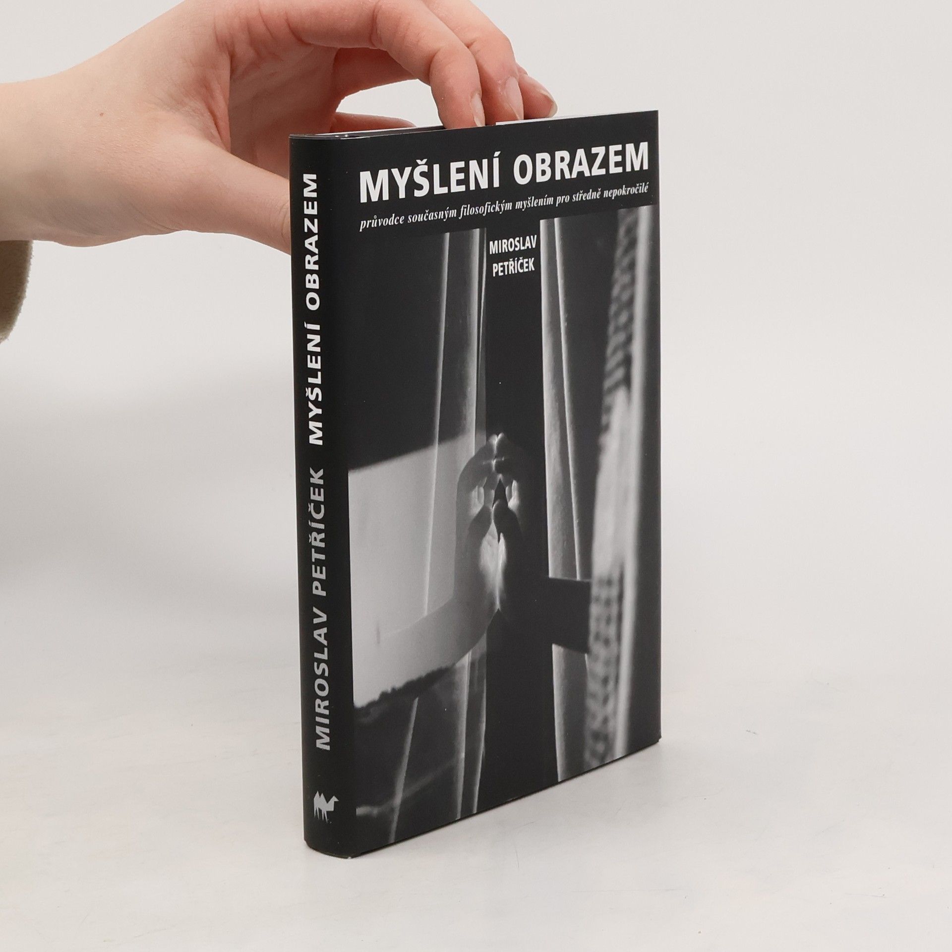 Myšlení obrazem: Průvodce současným filosofickým myšlením pro středně nepokročilé