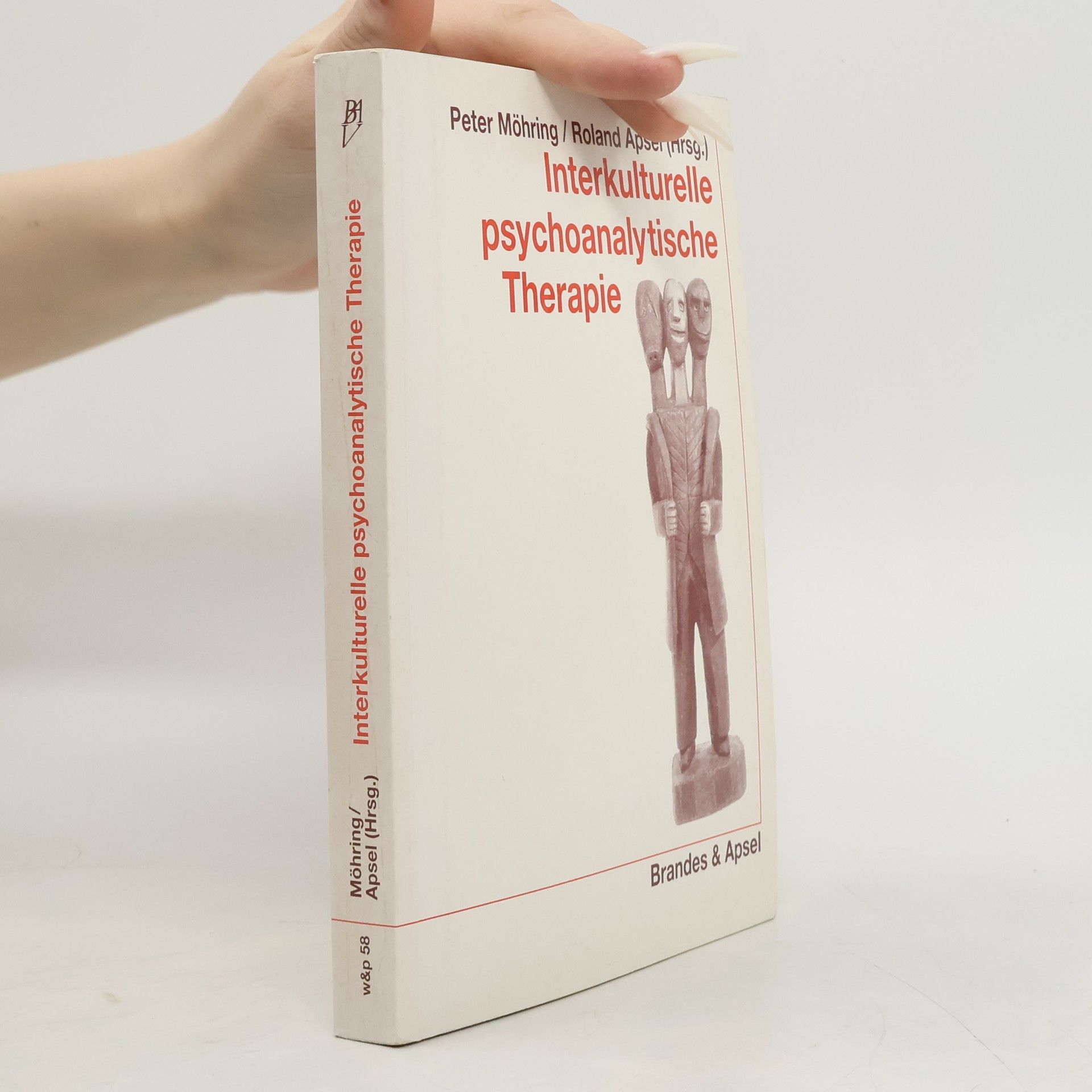 Interkulturelle psychoanalytische Therapie