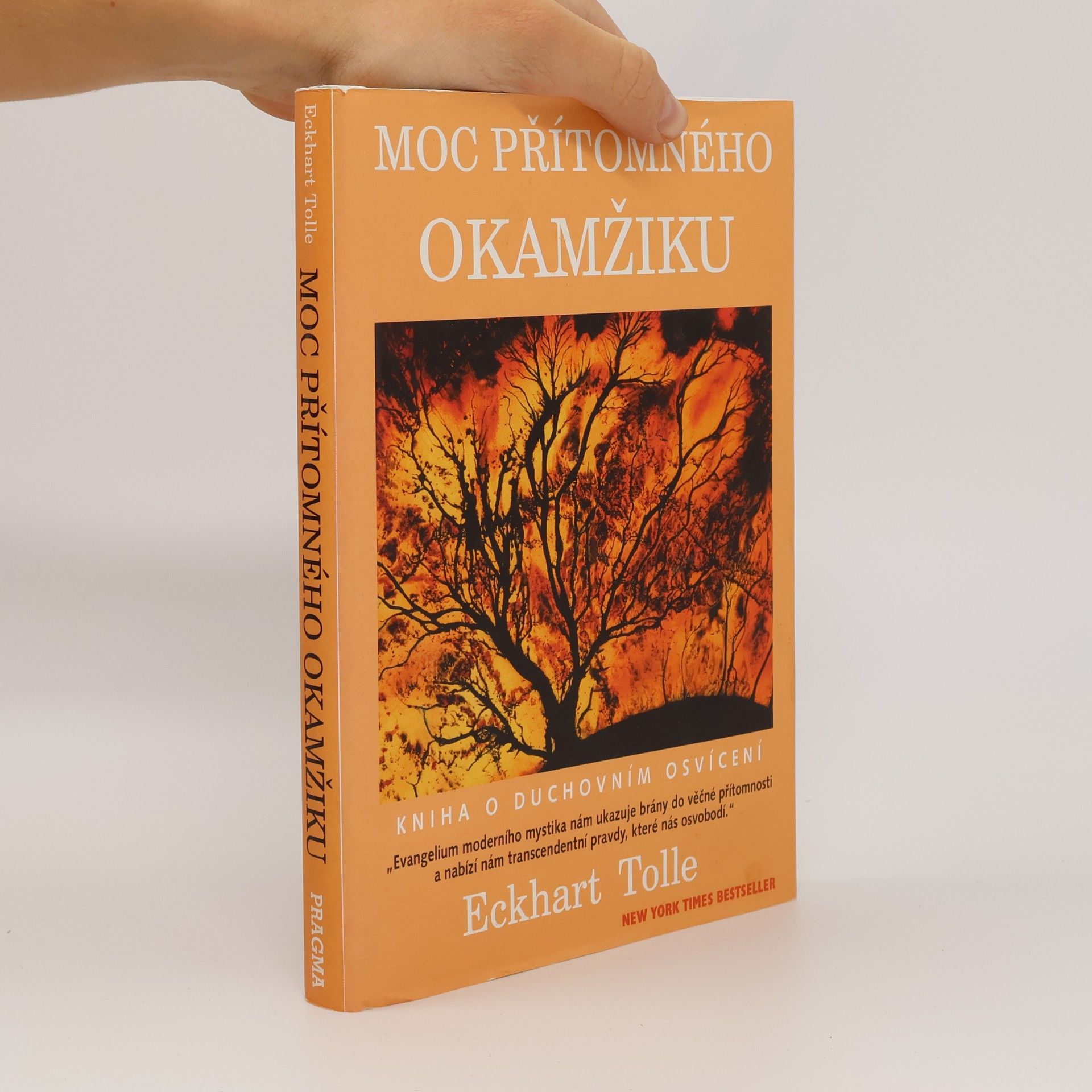 Eckhart Tolle Moc přítomného okamžiku