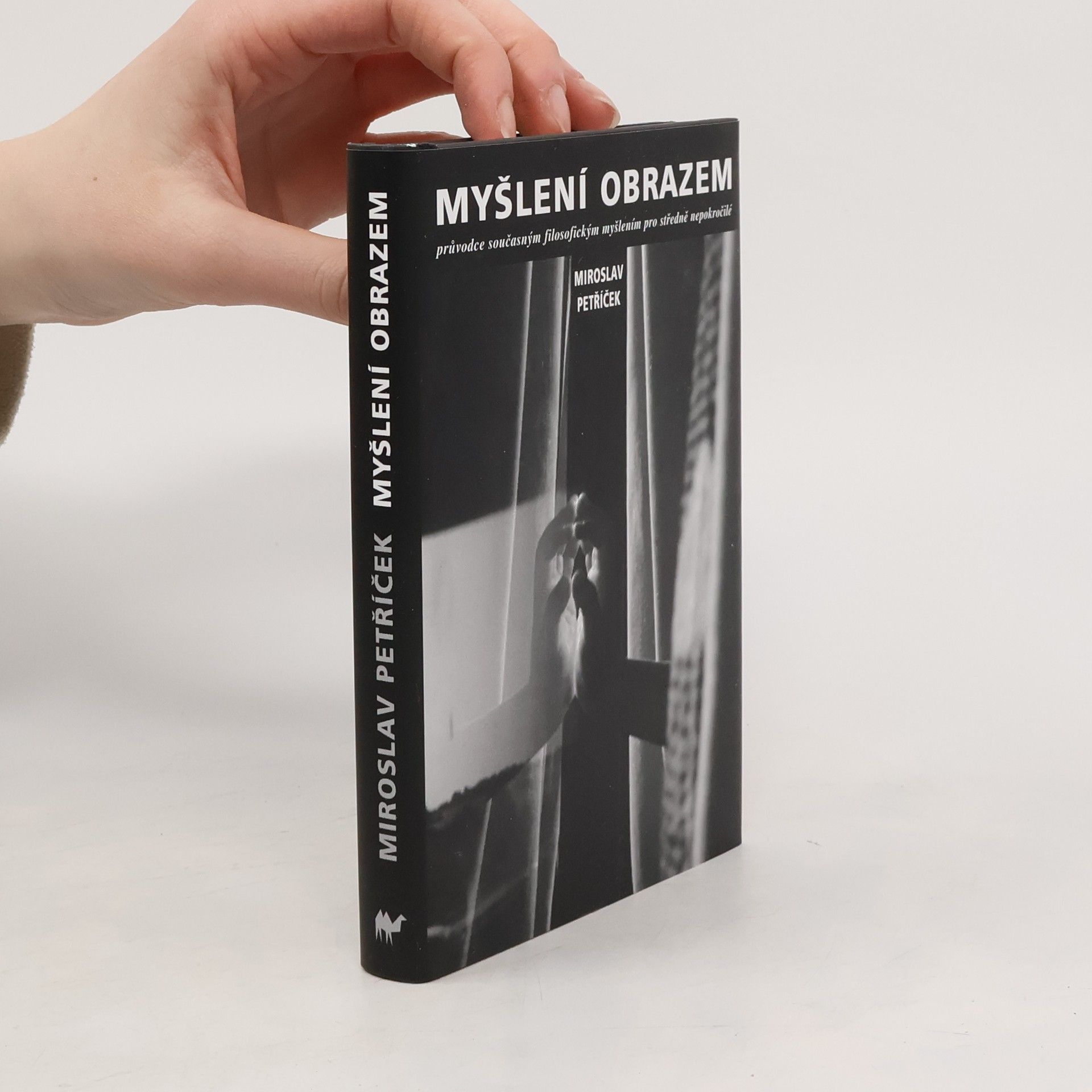Myšlení obrazem: Průvodce současným filosofickým myšlením pro středně nepokročilé