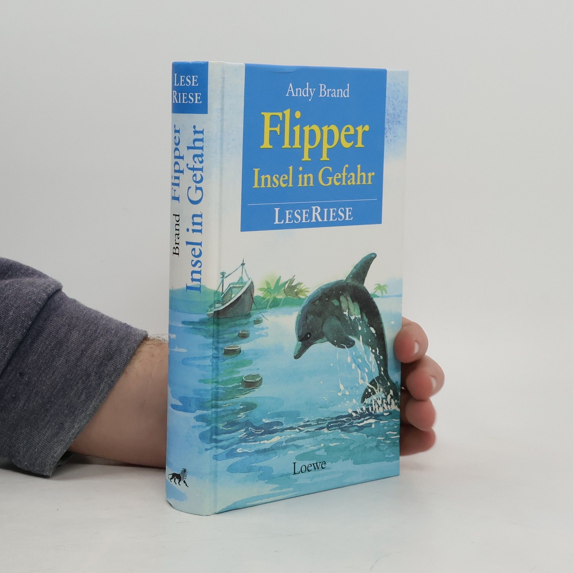 Andy Brand Flipper. Insel in Gefahr. LeseRiese.