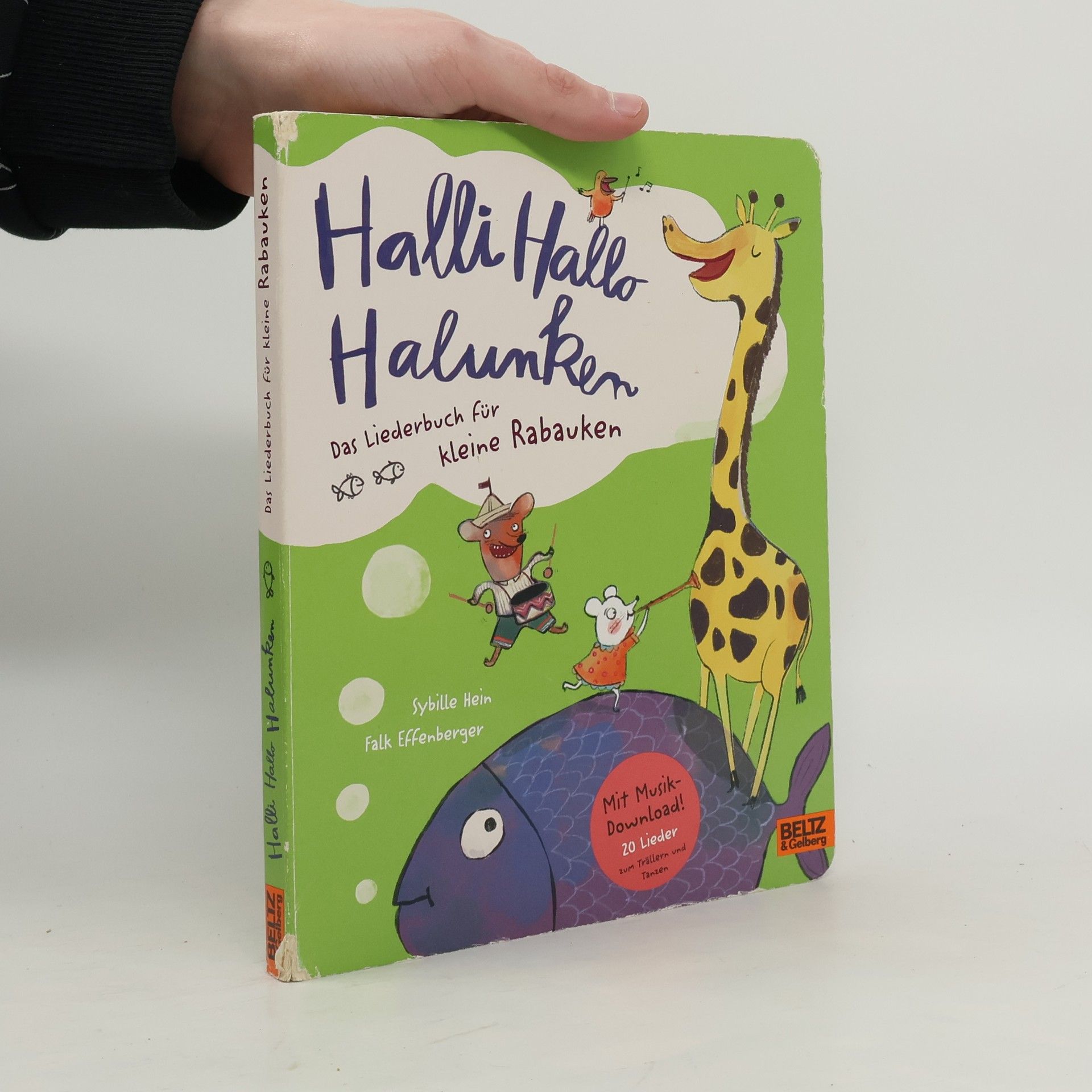 Halli Hallo Halunken - Das Liederbuch für kleine Rabauken