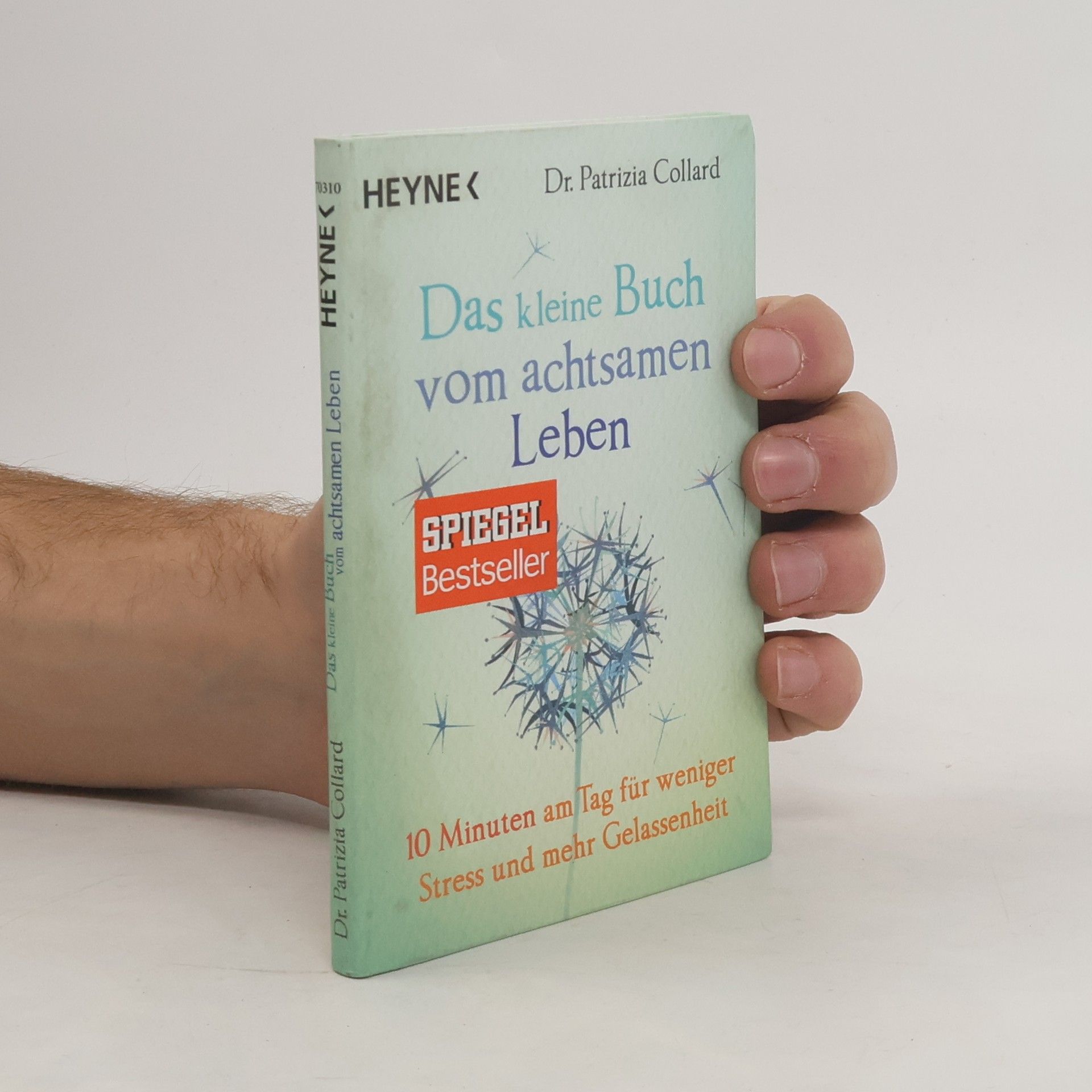 Patrizia Collard Das kleine Buch vom achtsamen Leben