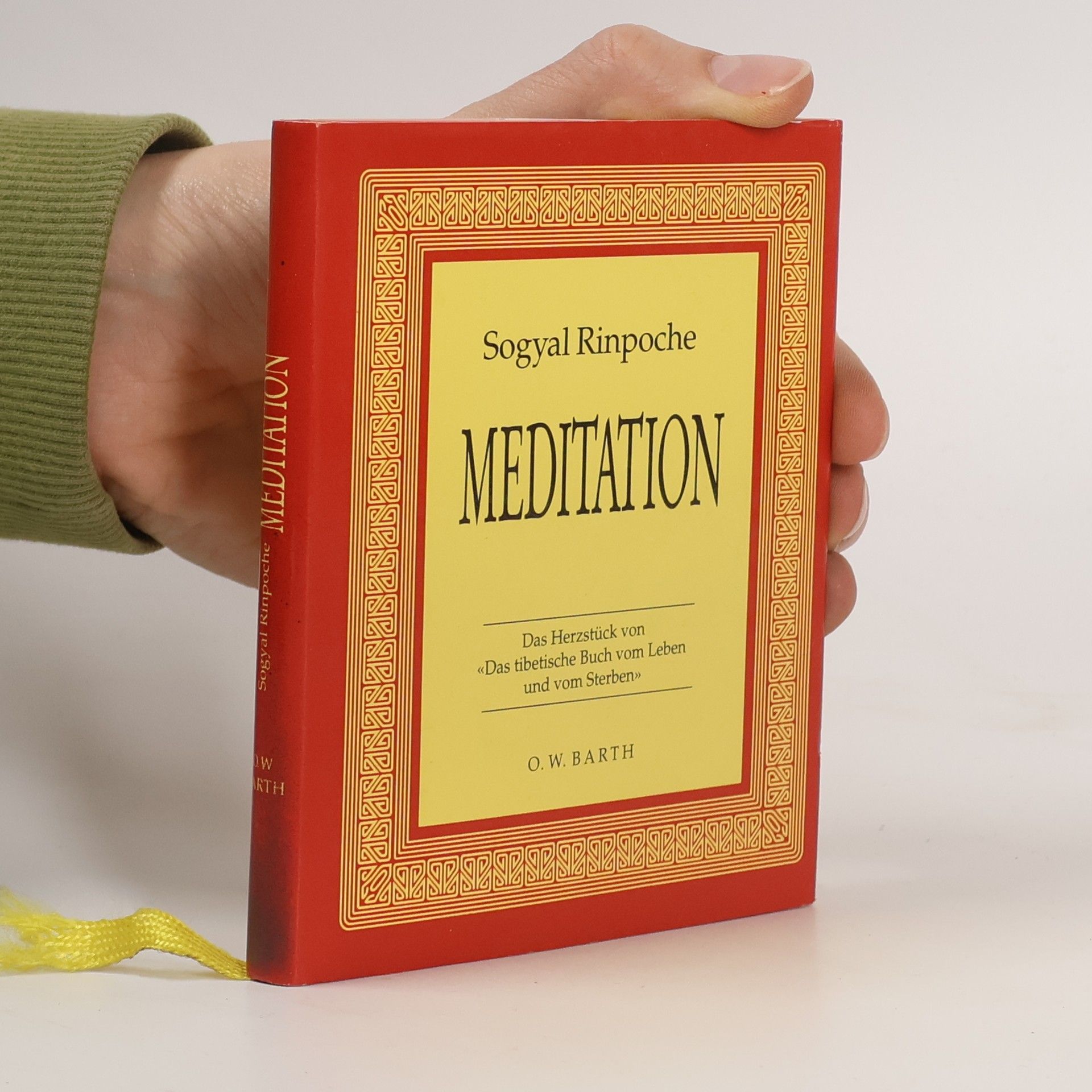 Sogyal Rinpoche Meditation