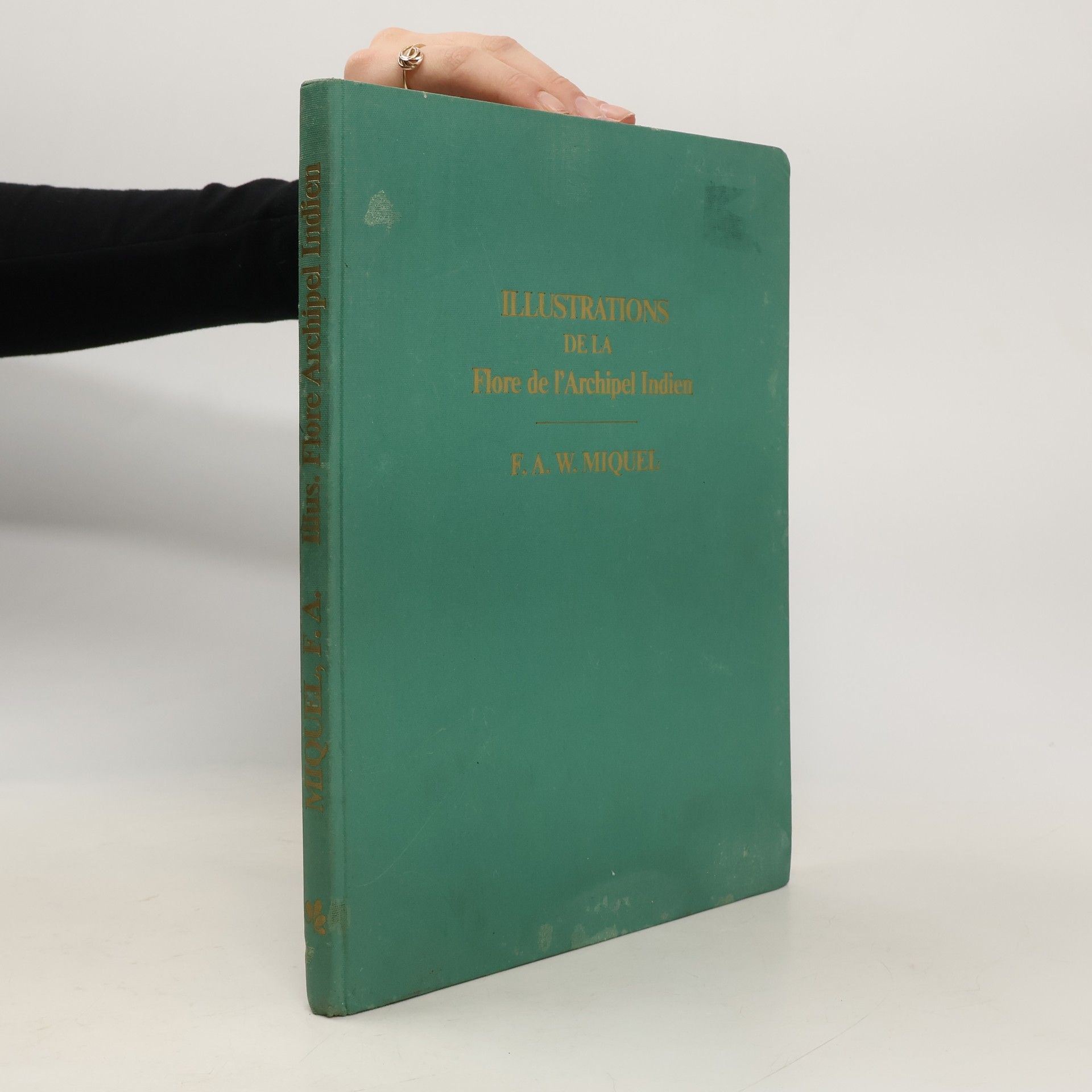 Friedrich Anton Wilhelm Miquel Illustrations de la flore de l'archipel Indien