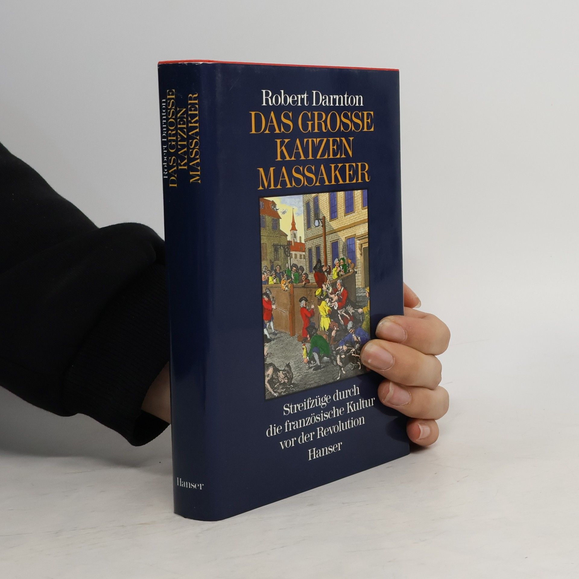 Robert Darnton Das grosse Katzenmassaker