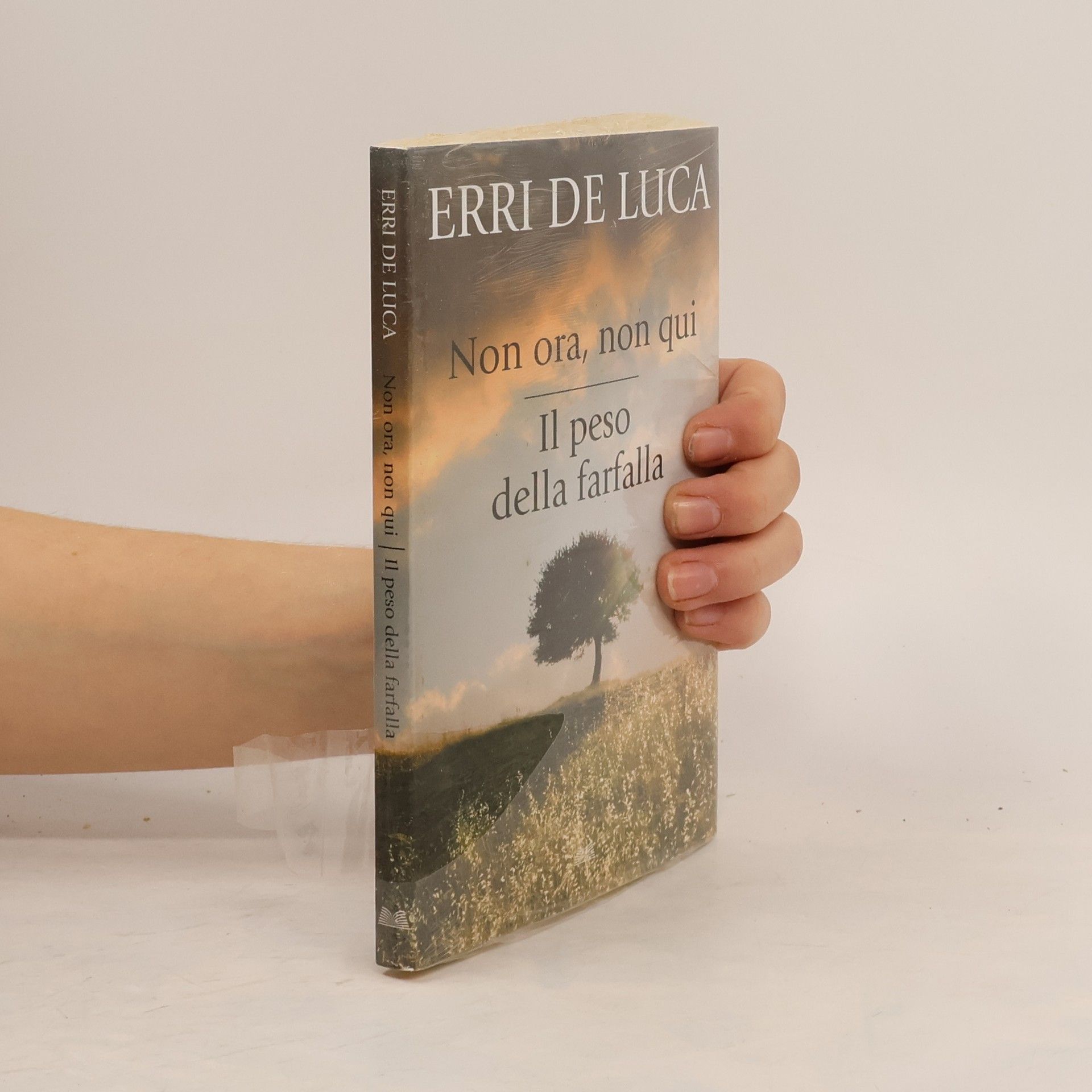 Erri De Luca Non ora, non qui. Il peso della farfalla