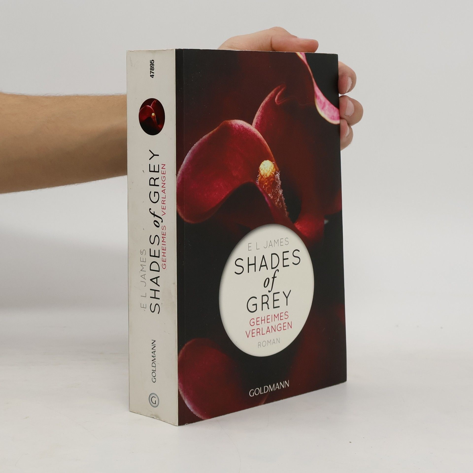 Shades of Grey. Geheimes Verlangen