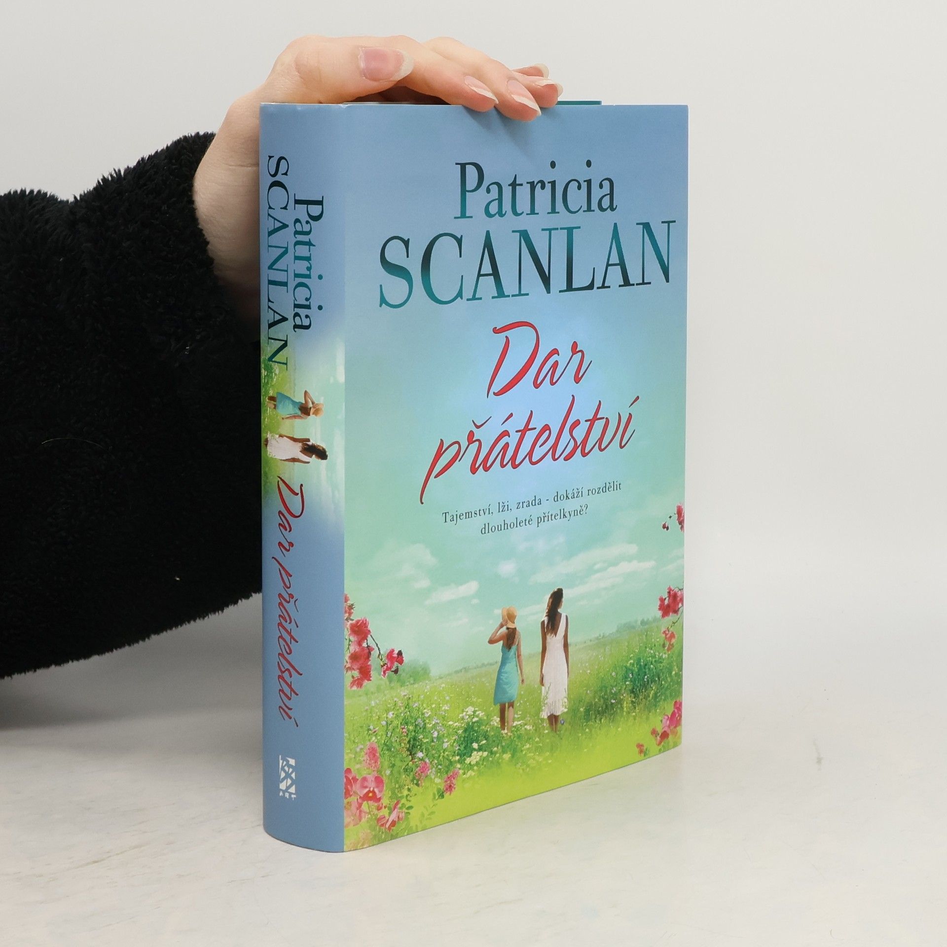 Patricia Scanlan Dar přátelství