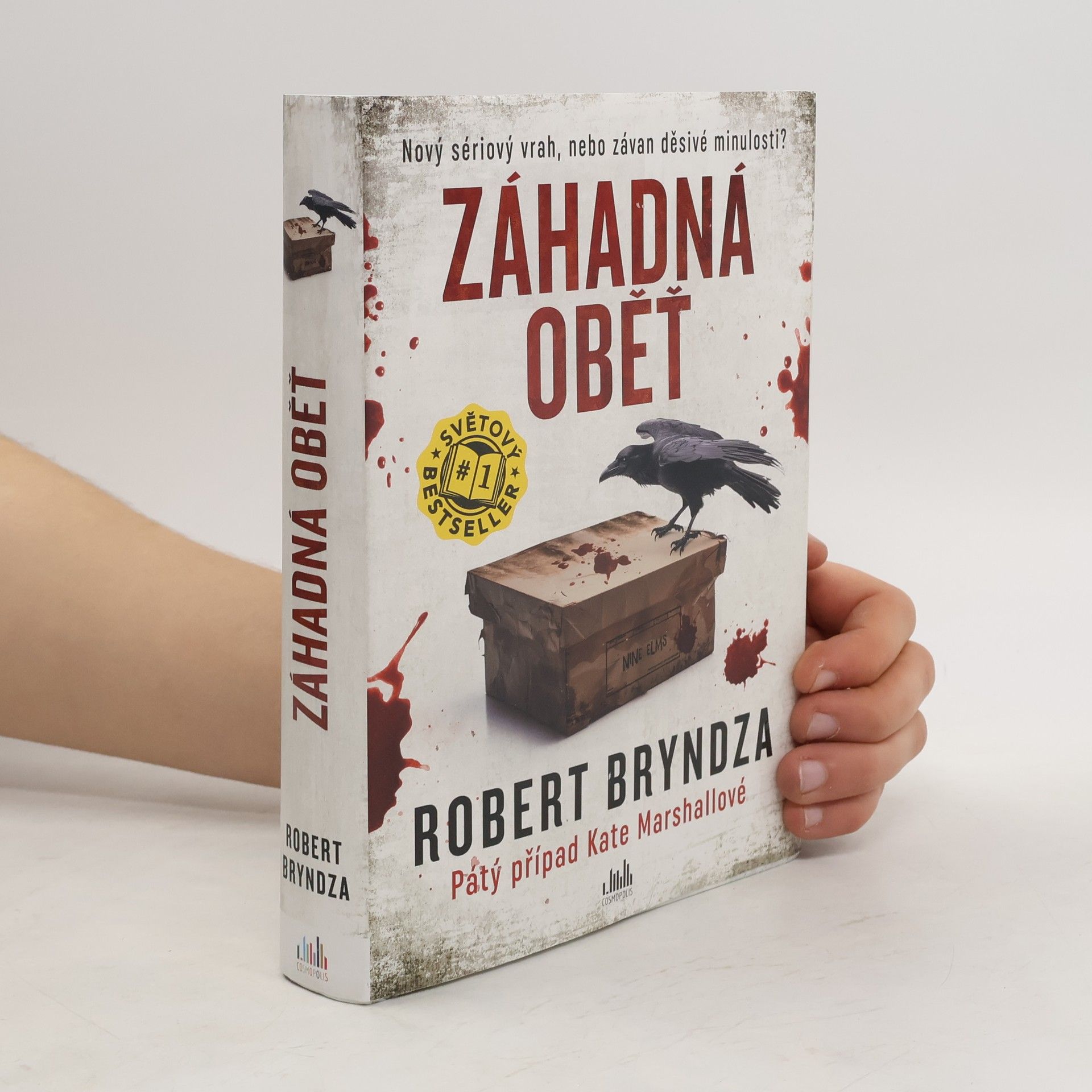 Robert Bryndza Záhadná oběť