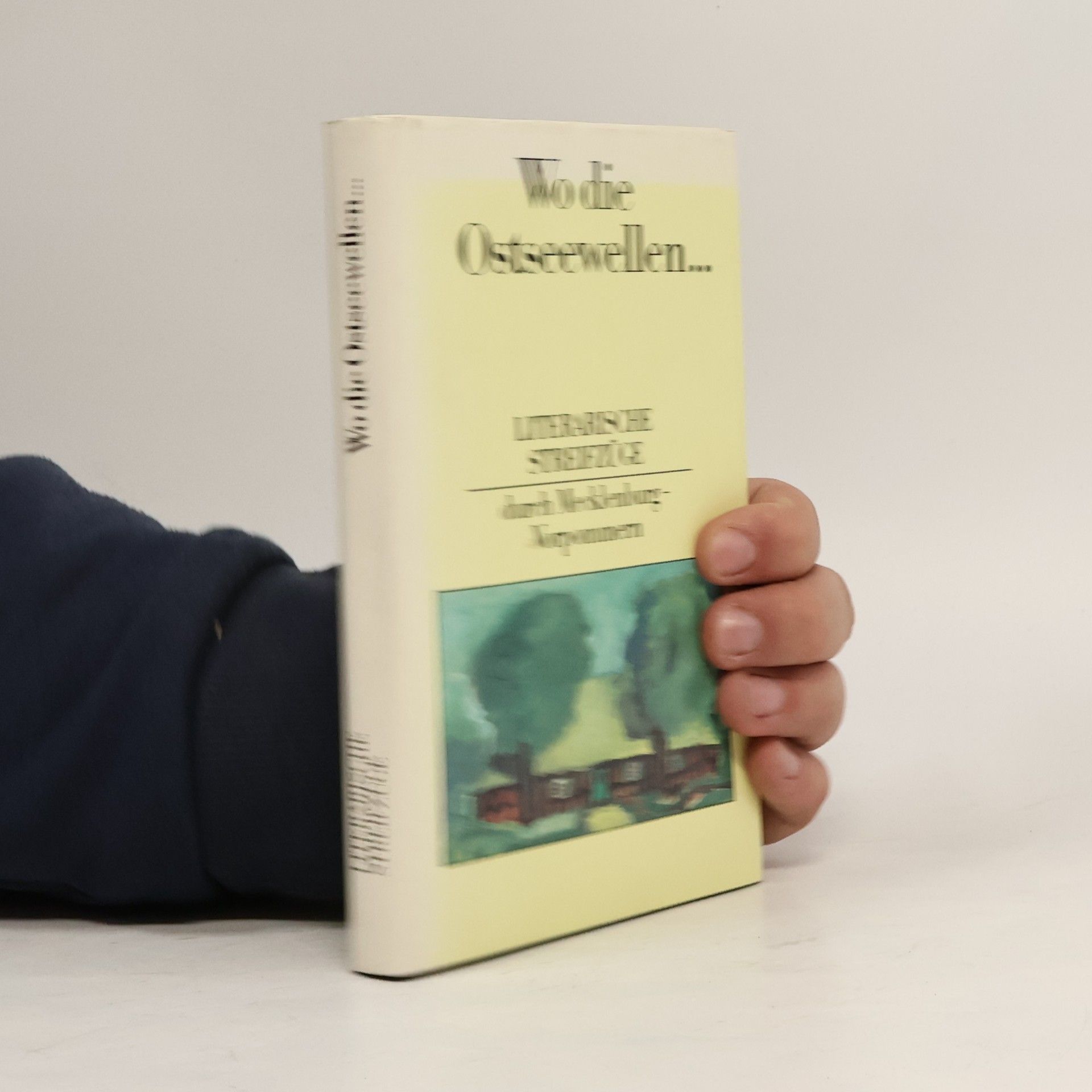 Jürgen Borchert Wo die Ostseewellen ...