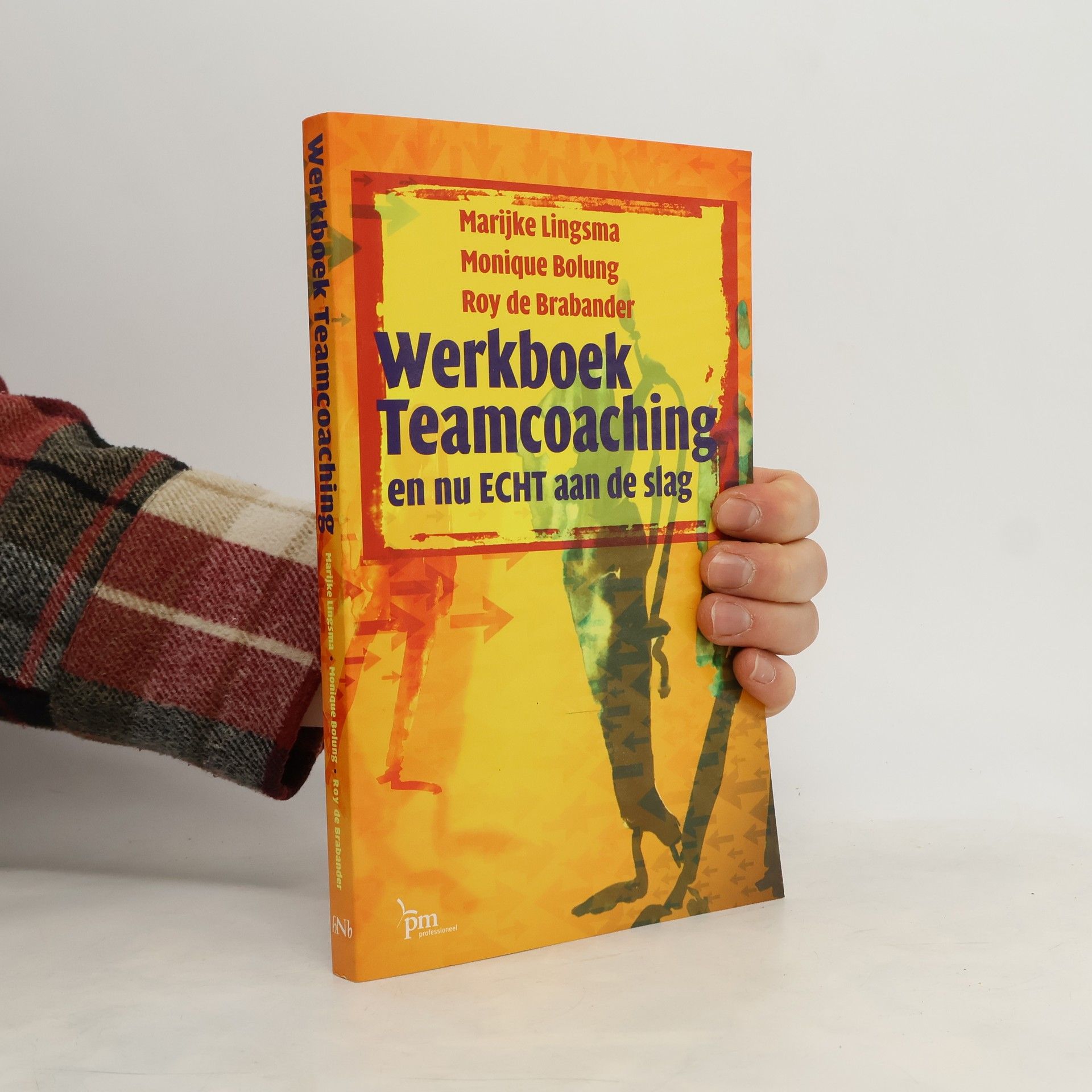 Marijke Lingsma PM-reeks - 300: Werkboek teamcoaching