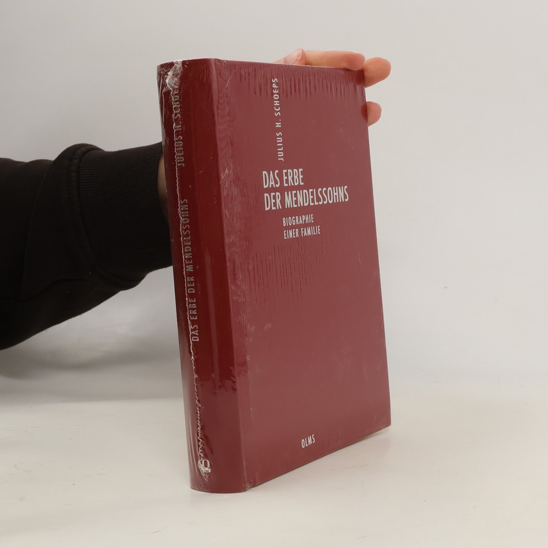 Julius H. Schoeps Deutsch-jüdische Geschichte durch drei Jahrhunderte: ausgewählte Schriften in 10 Bänden - 2: Das Erbe der Mendelssohns