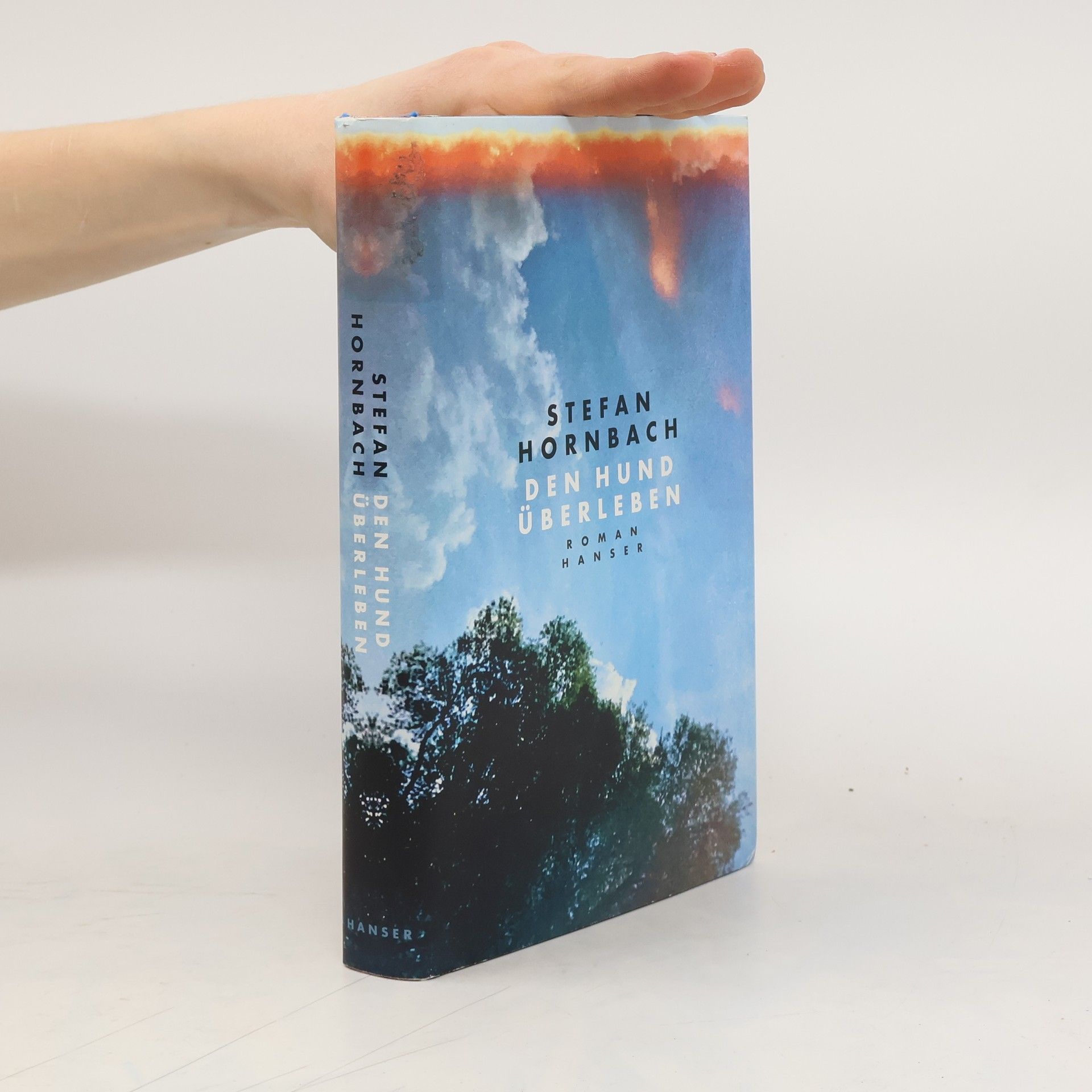 Stefan Hornbach Den Hund überleben