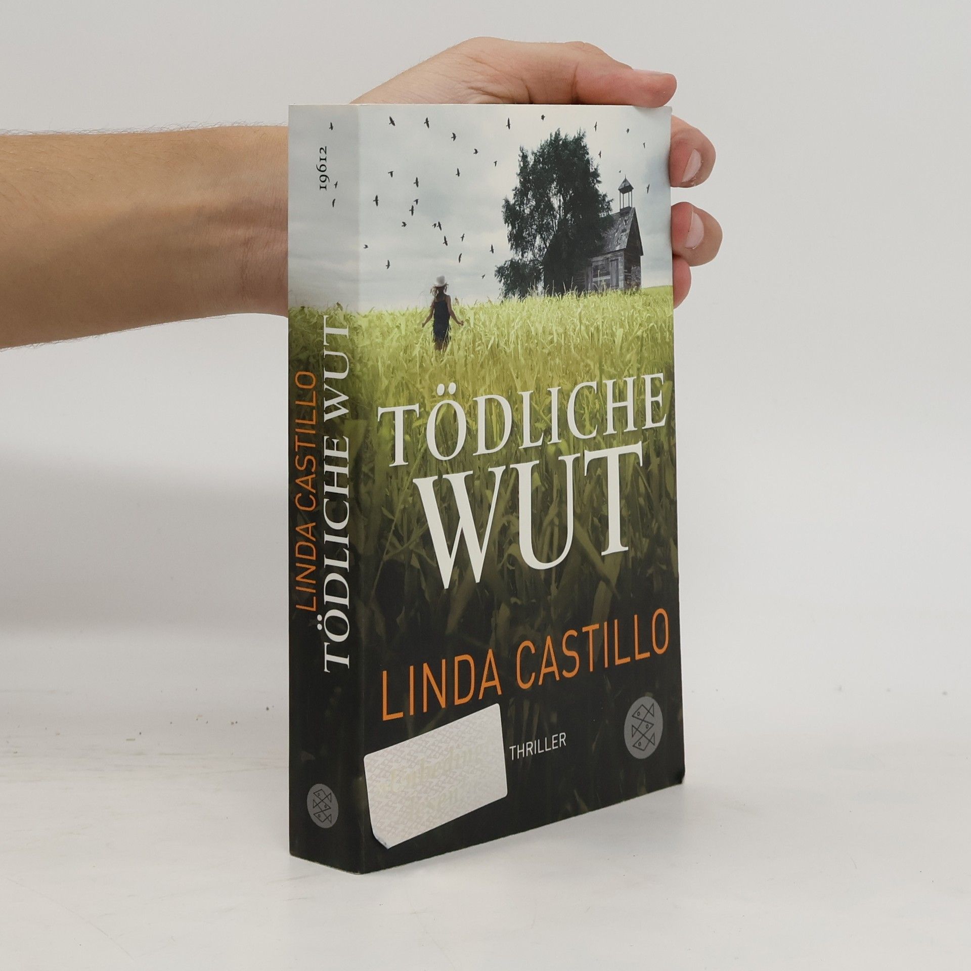 Linda Castillo Tödliche Wut