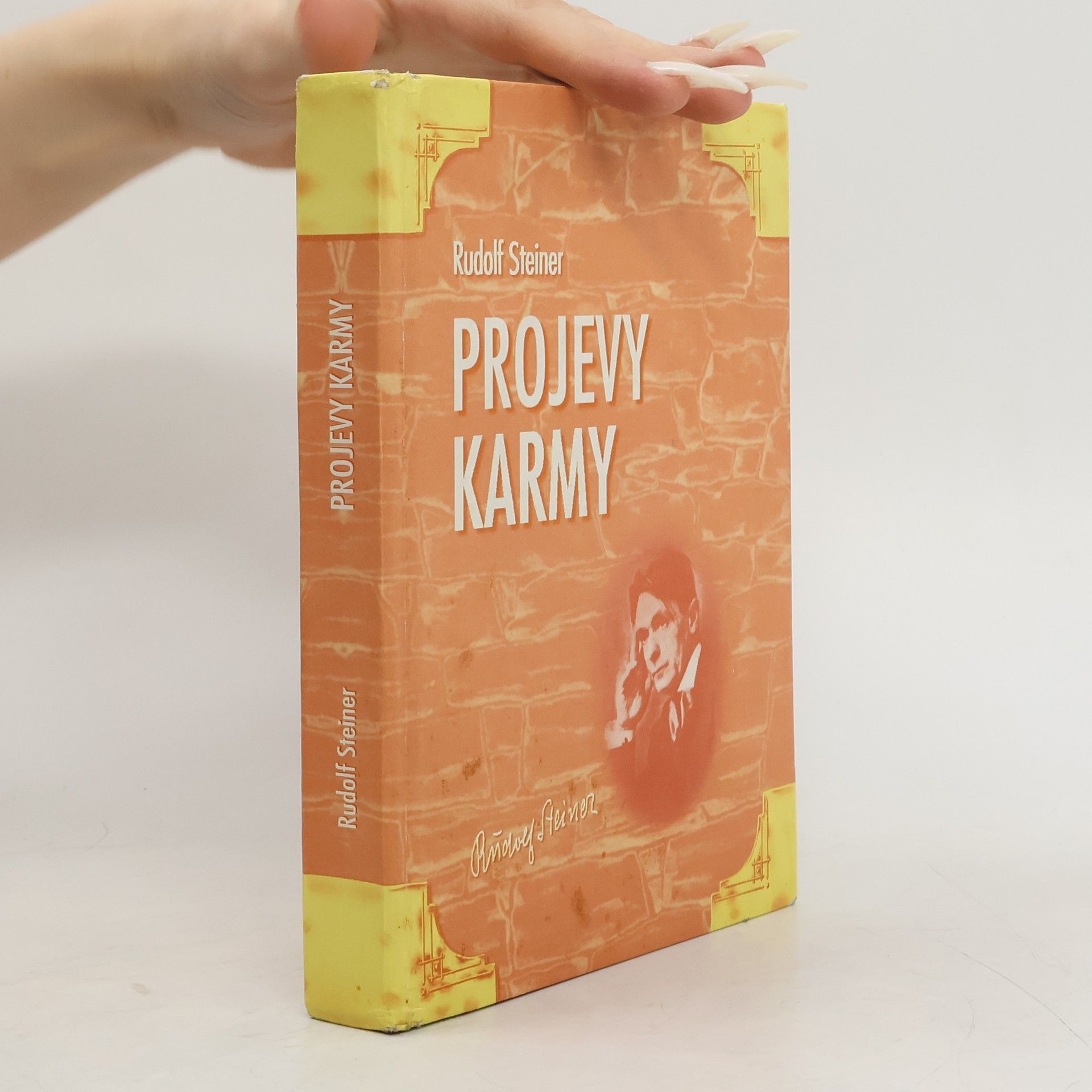 Rudolf Steiner Projevy karmy