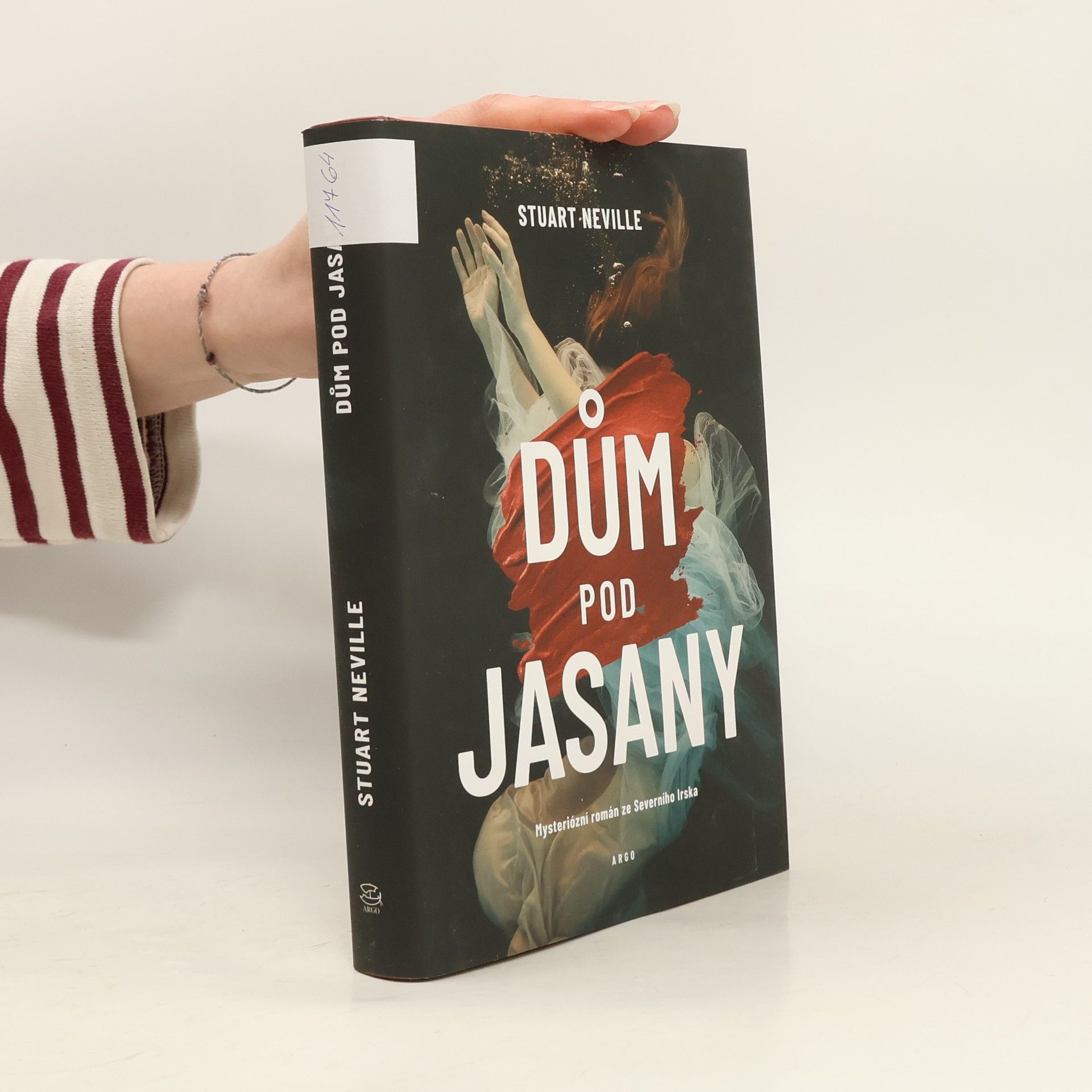 Stuart Neville Dům pod jasany