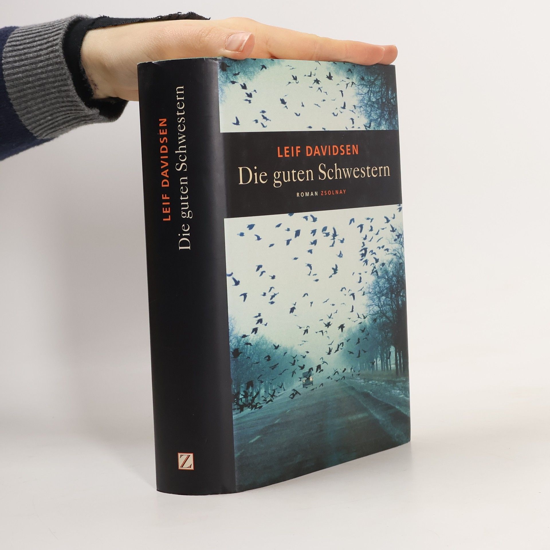 Leif Davidsen Die guten Schwestern