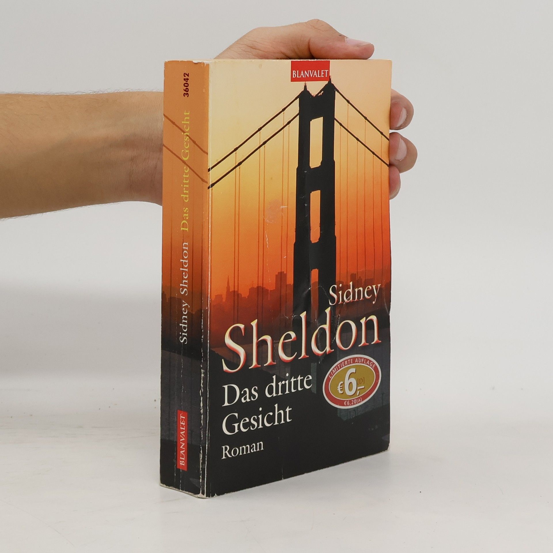 Sidney Sheldon Das dritte Gesicht