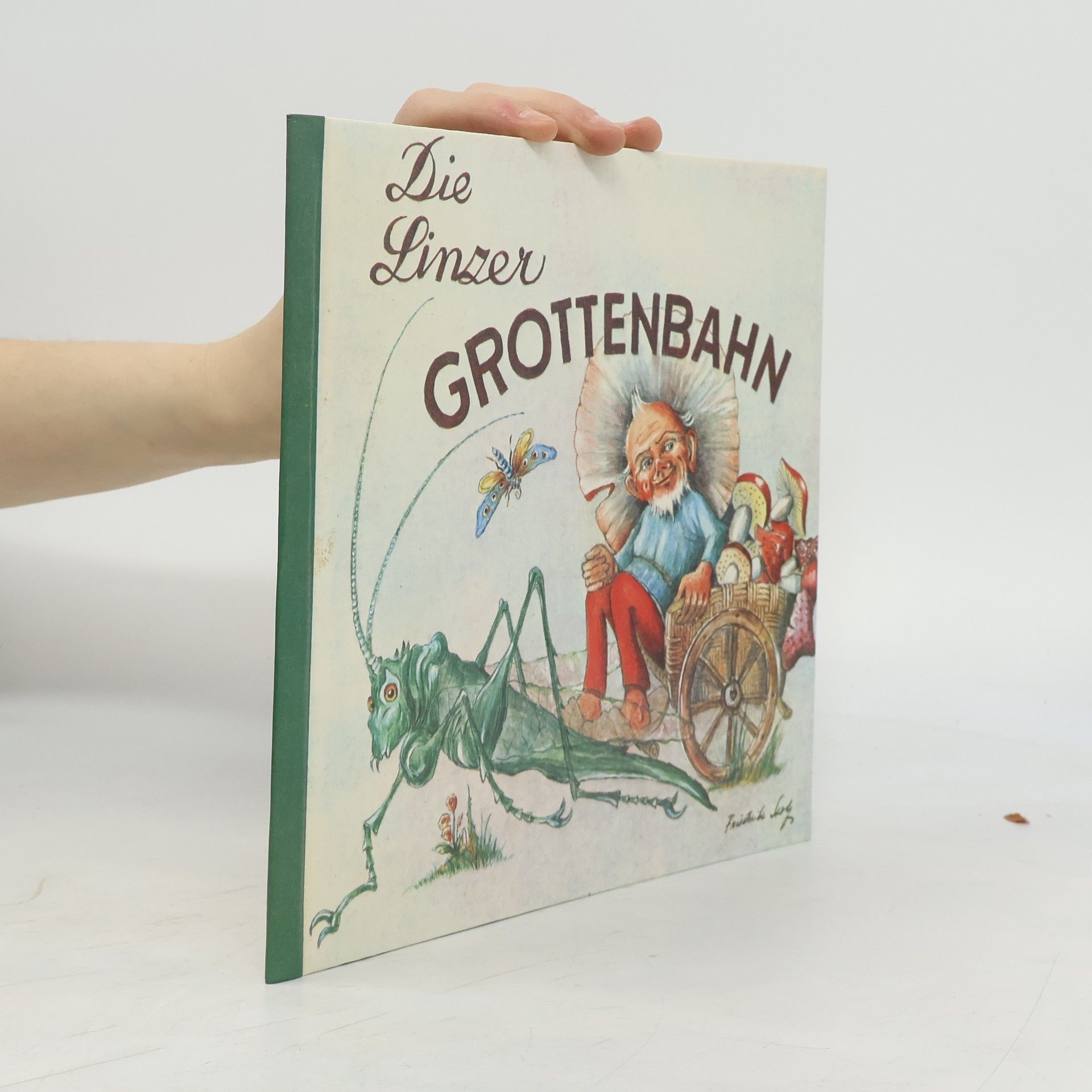 Autorenkollektiv Die linzer Grottenbahn