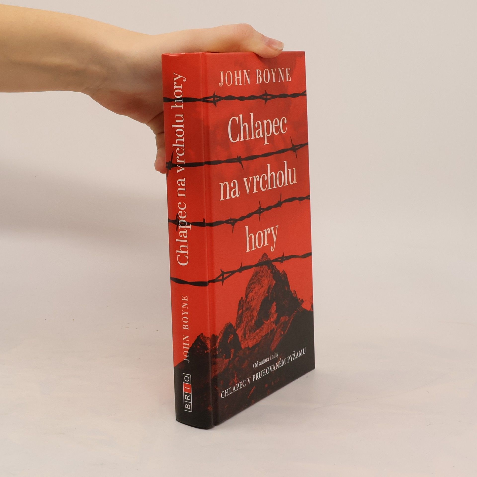 John Boyne Chlapec na vrcholu hory