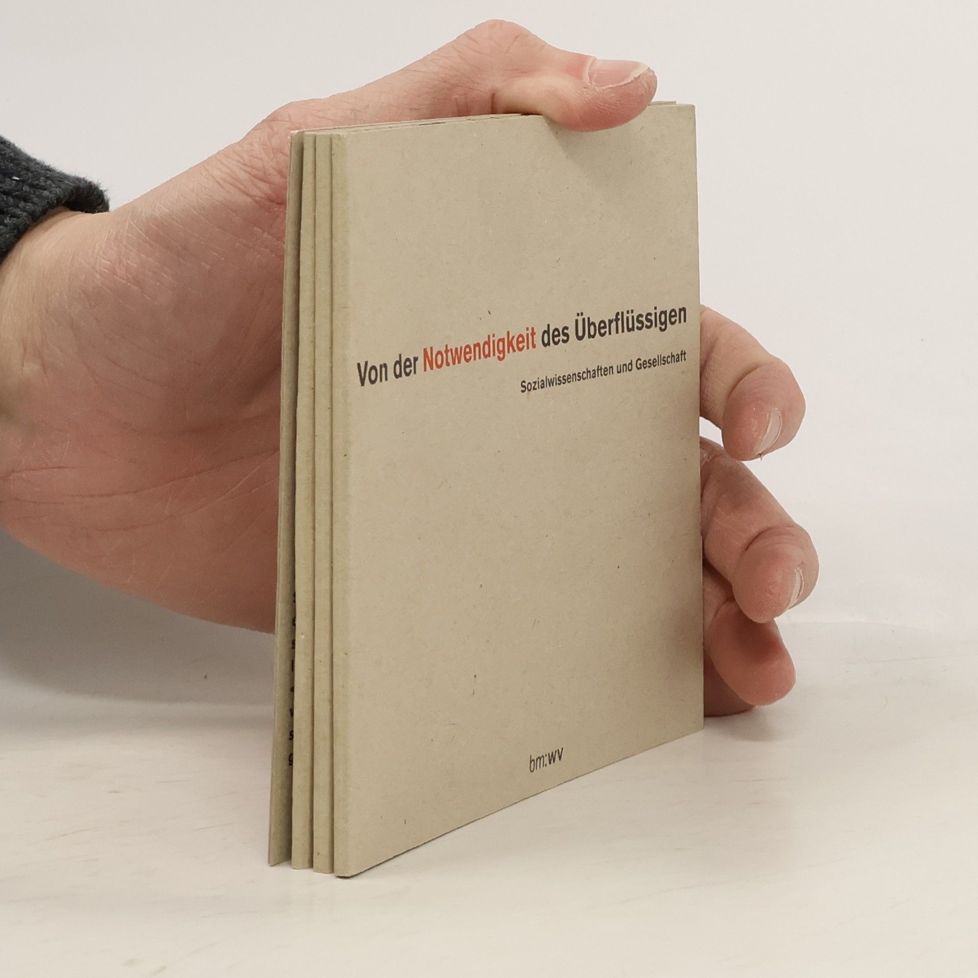 Collectif d'auteurs Von der Notwendigkeit des Überflüssigen