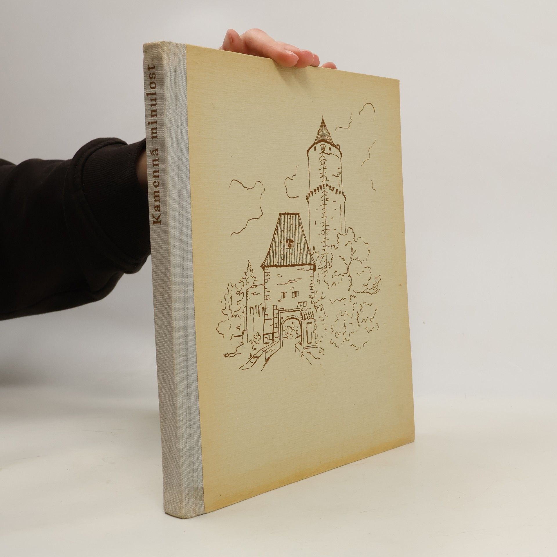 Čeněk Chyský Kamenná minulost. Procházky po hradech a zámcích v českých zemích