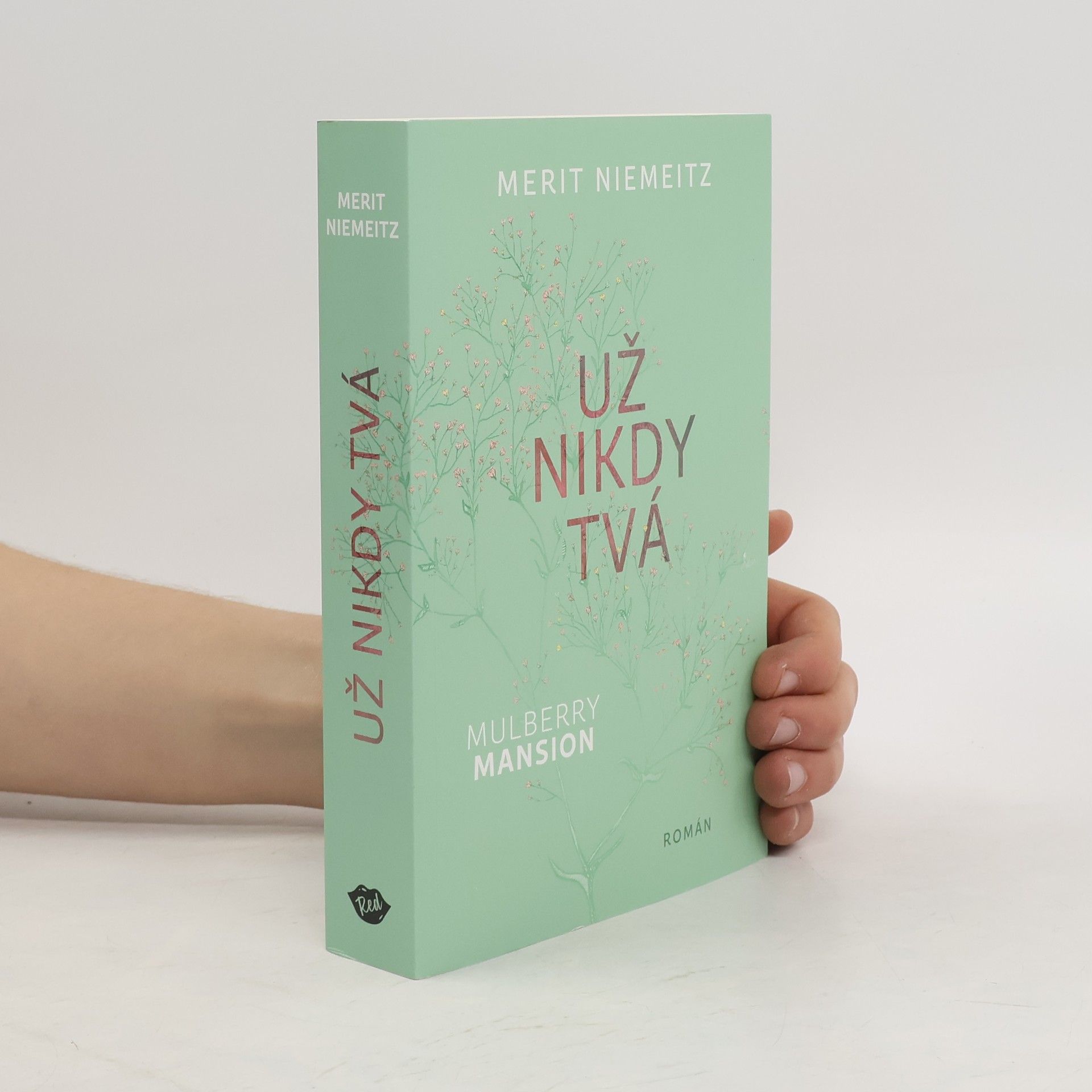 Merit Niemeitz Už nikdy tvá