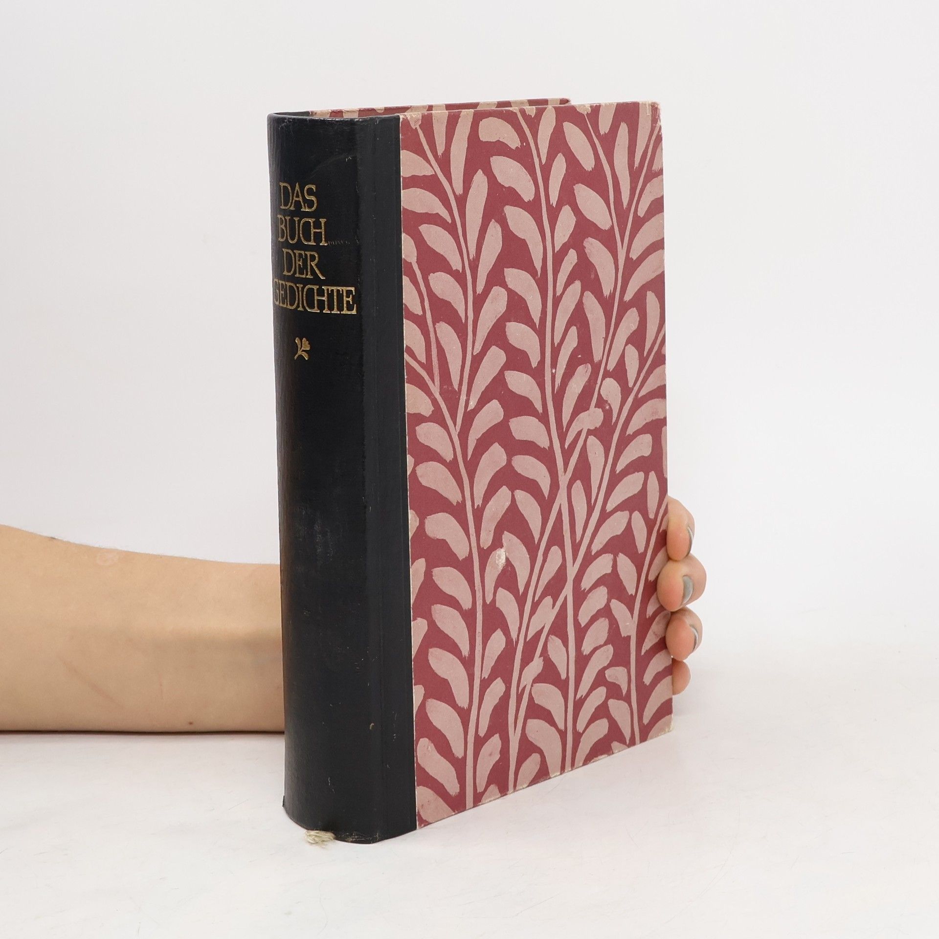 Marianne Hochhuth Das Buch der Gedichte