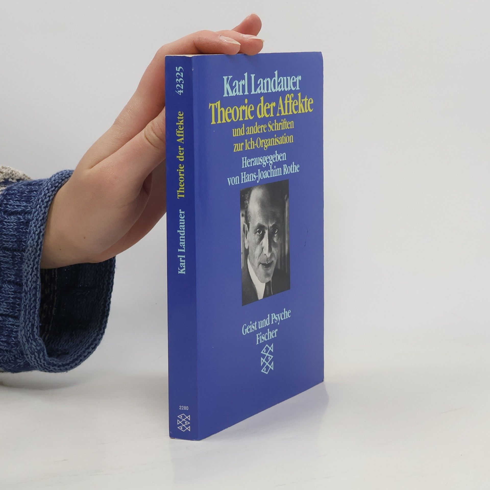 Karl Landauer Geist und Psyche: Theorie der Affekte und andere Schriften zur Ich-Organisation