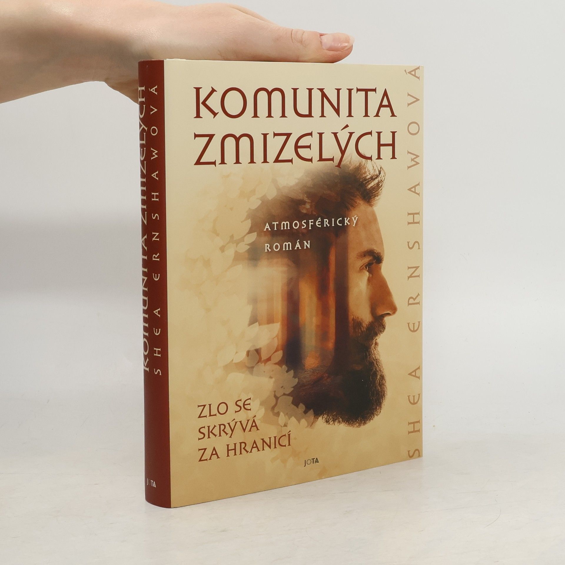 Shea Ernshaw Komunita zmizelých