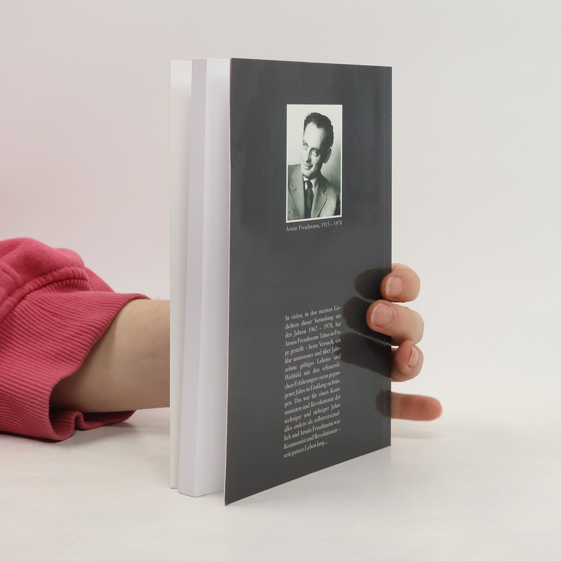 Armin Freudmann Mein Tabu-Buch