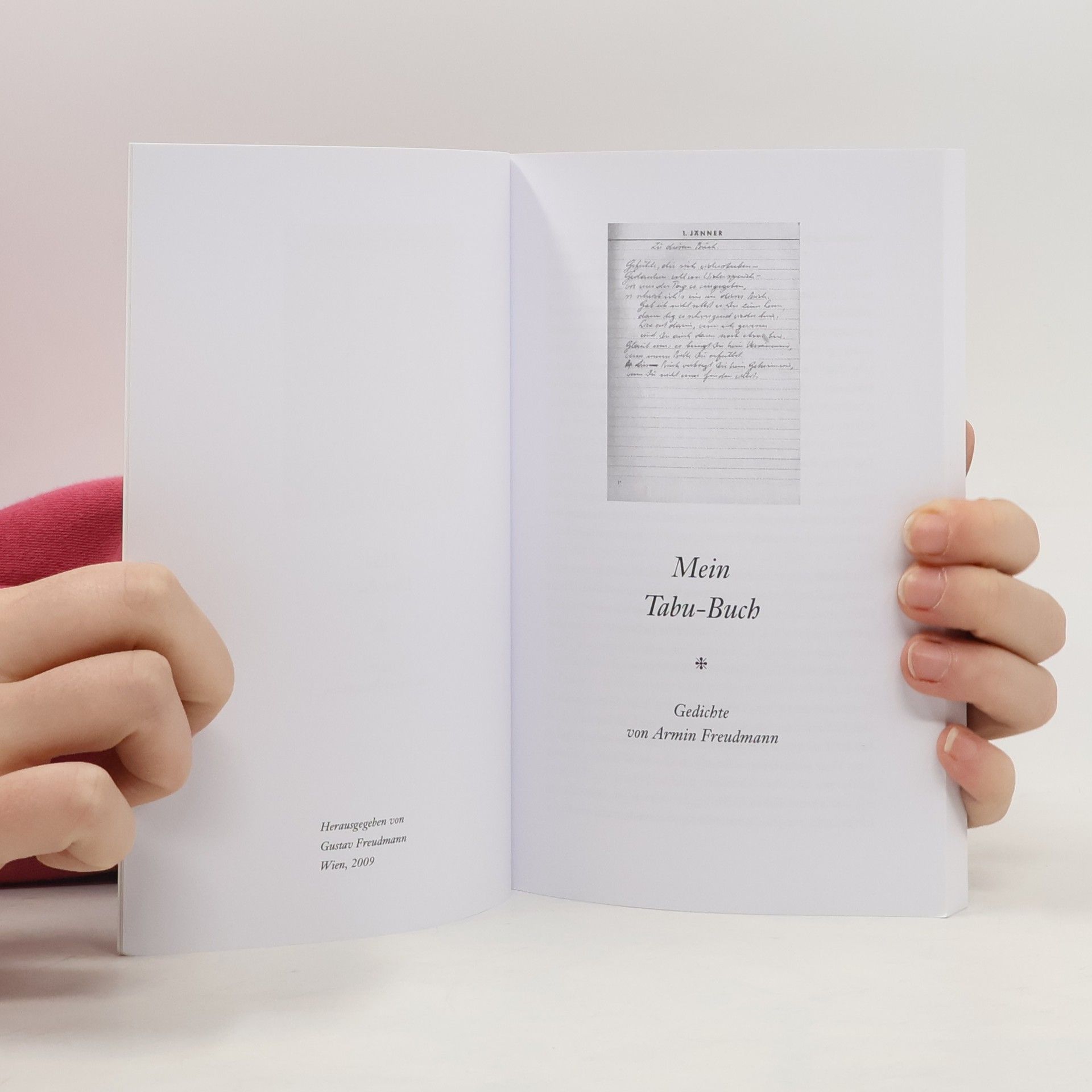 Armin Freudmann Mein Tabu-Buch