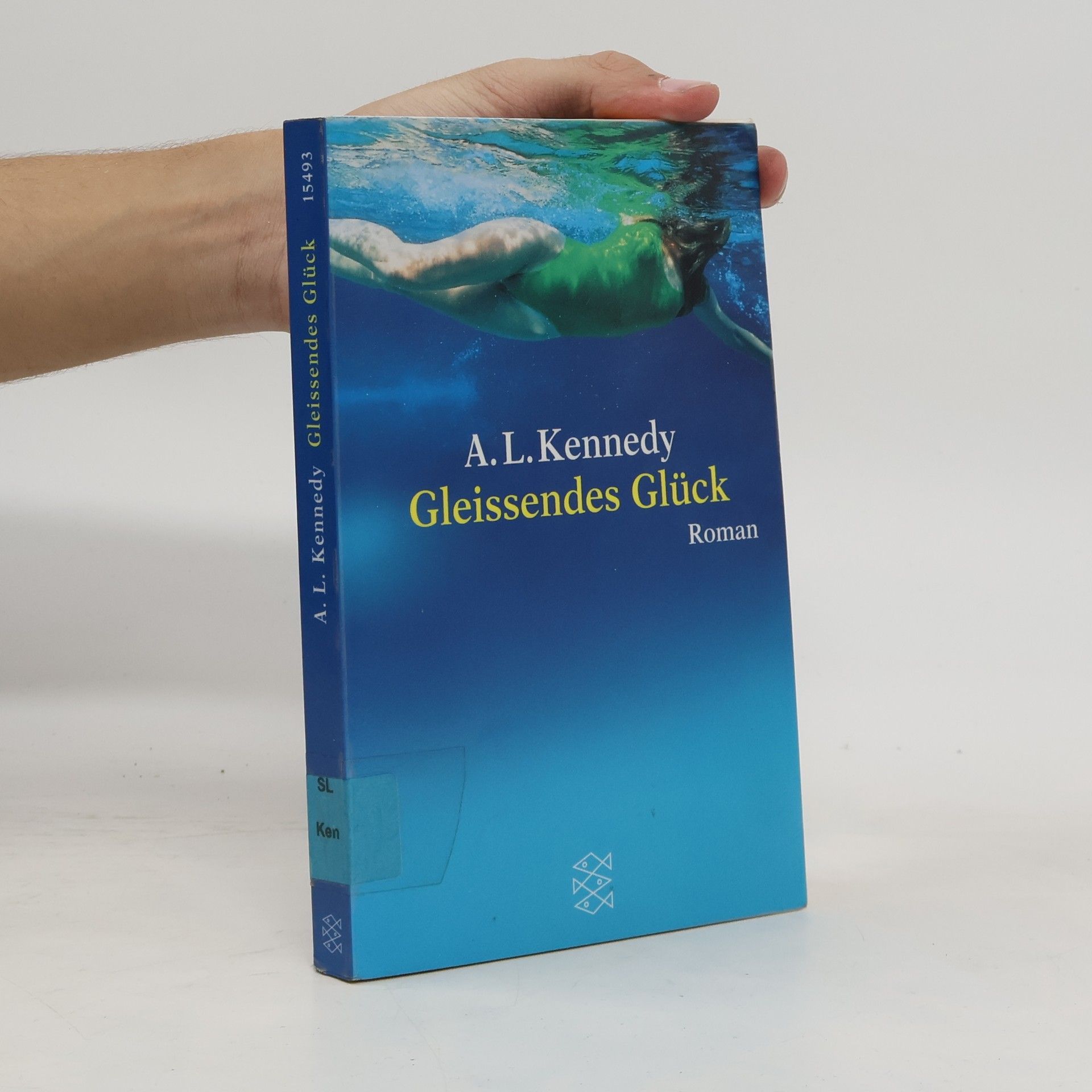 A. L. Kennedy Gleissendes Glück