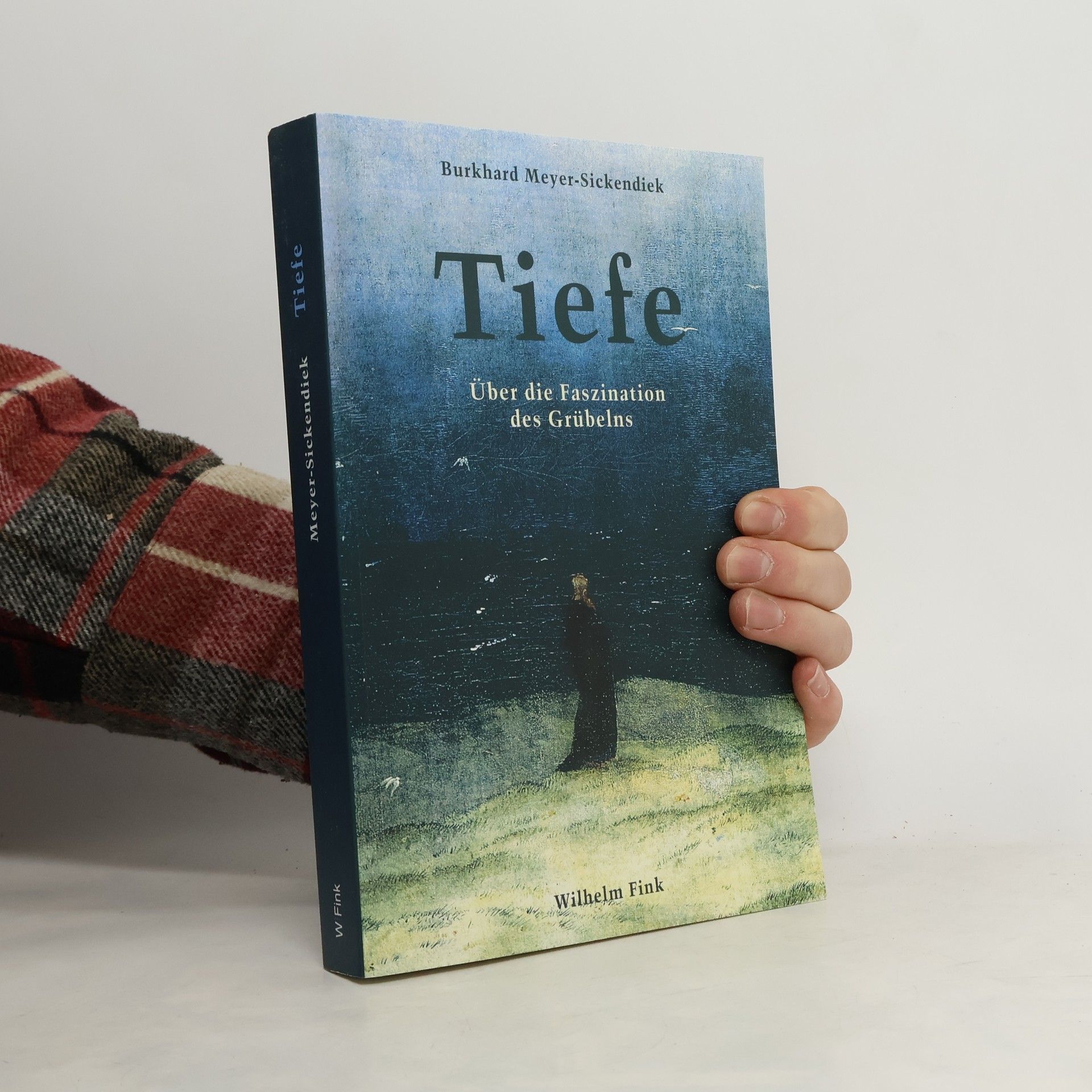 Burkhard Meyer Sickendiek Tiefe