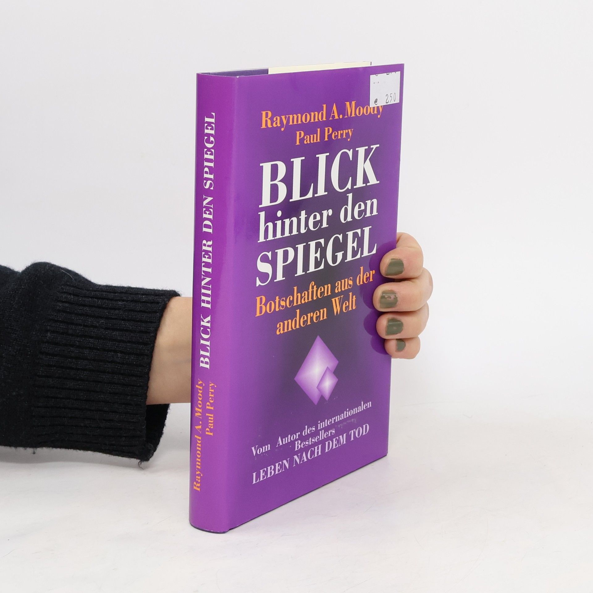 Paul Perry Der Blick hinter den Spiegel. Botschaften aus der anderen Welt