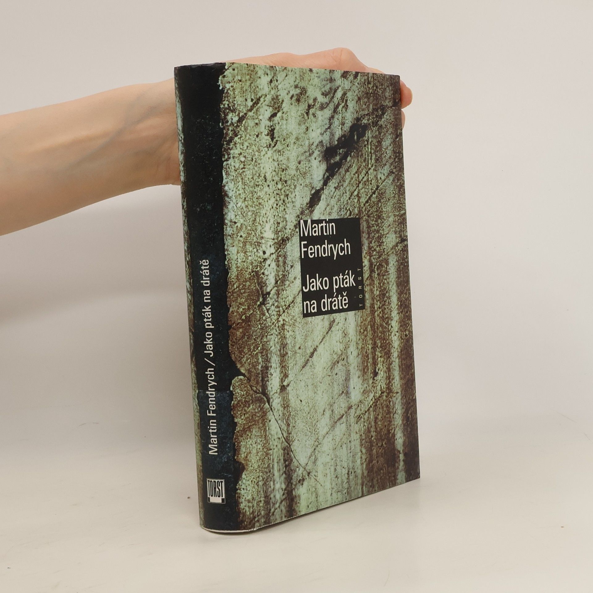 Martin Fendrych Jako pták na drátě