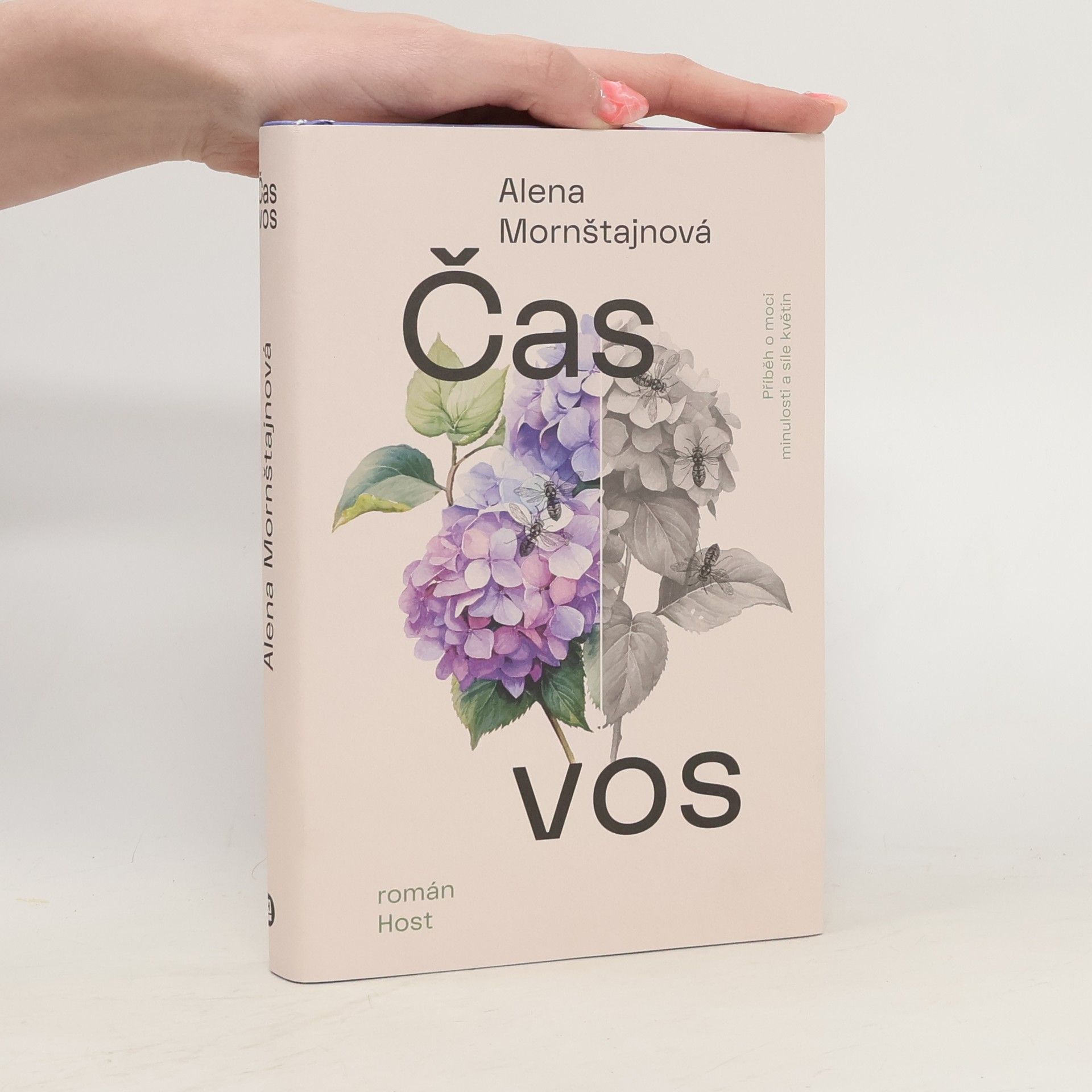 Alena Mornštajnová Čas vos