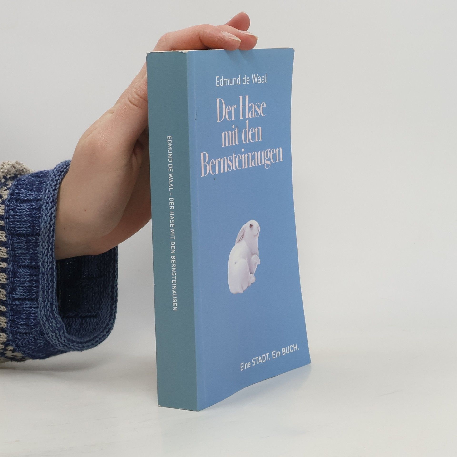 Edmund De Waal Der Hase mit den Bernsteinaugen