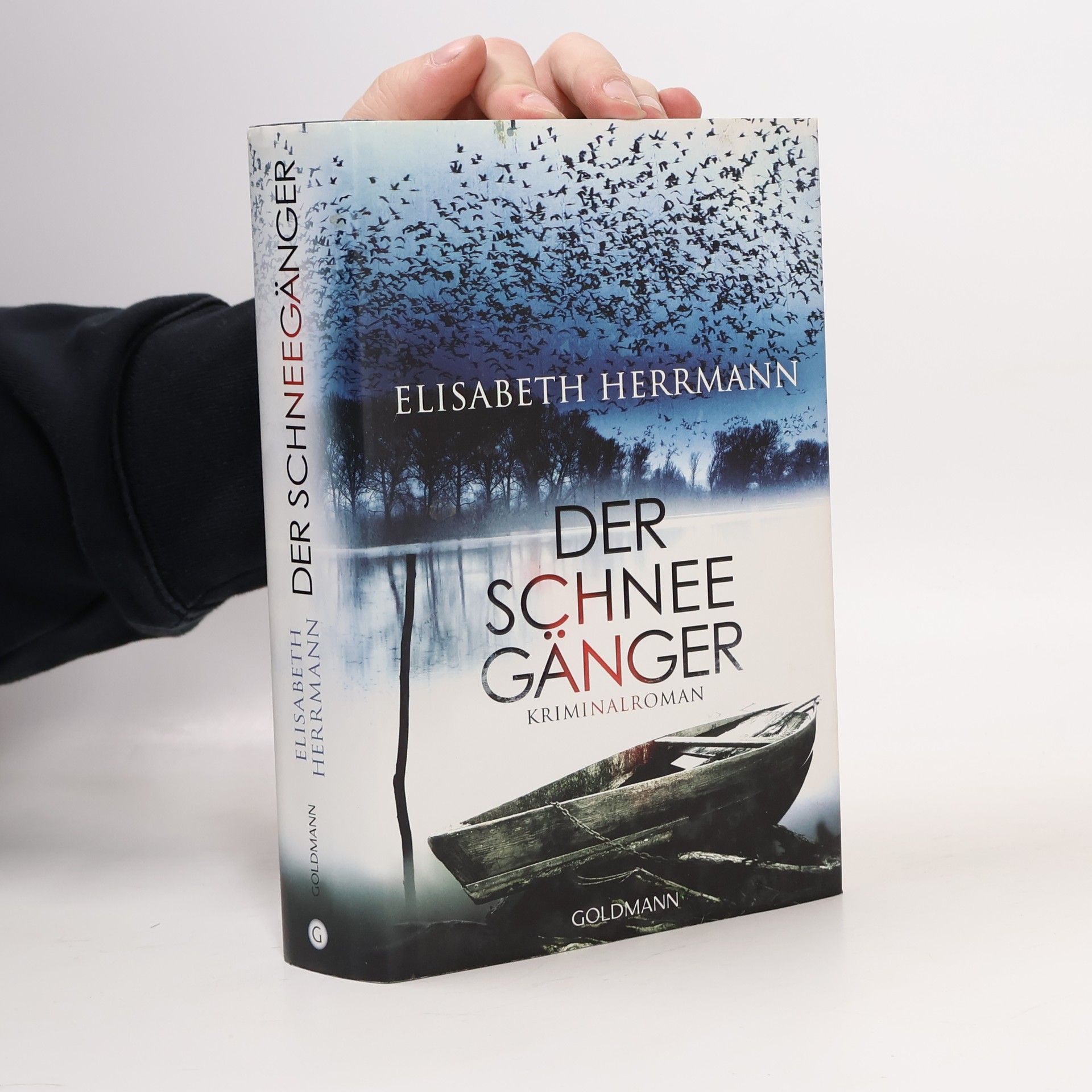 Elisabeth Hermann Der Schneegänger