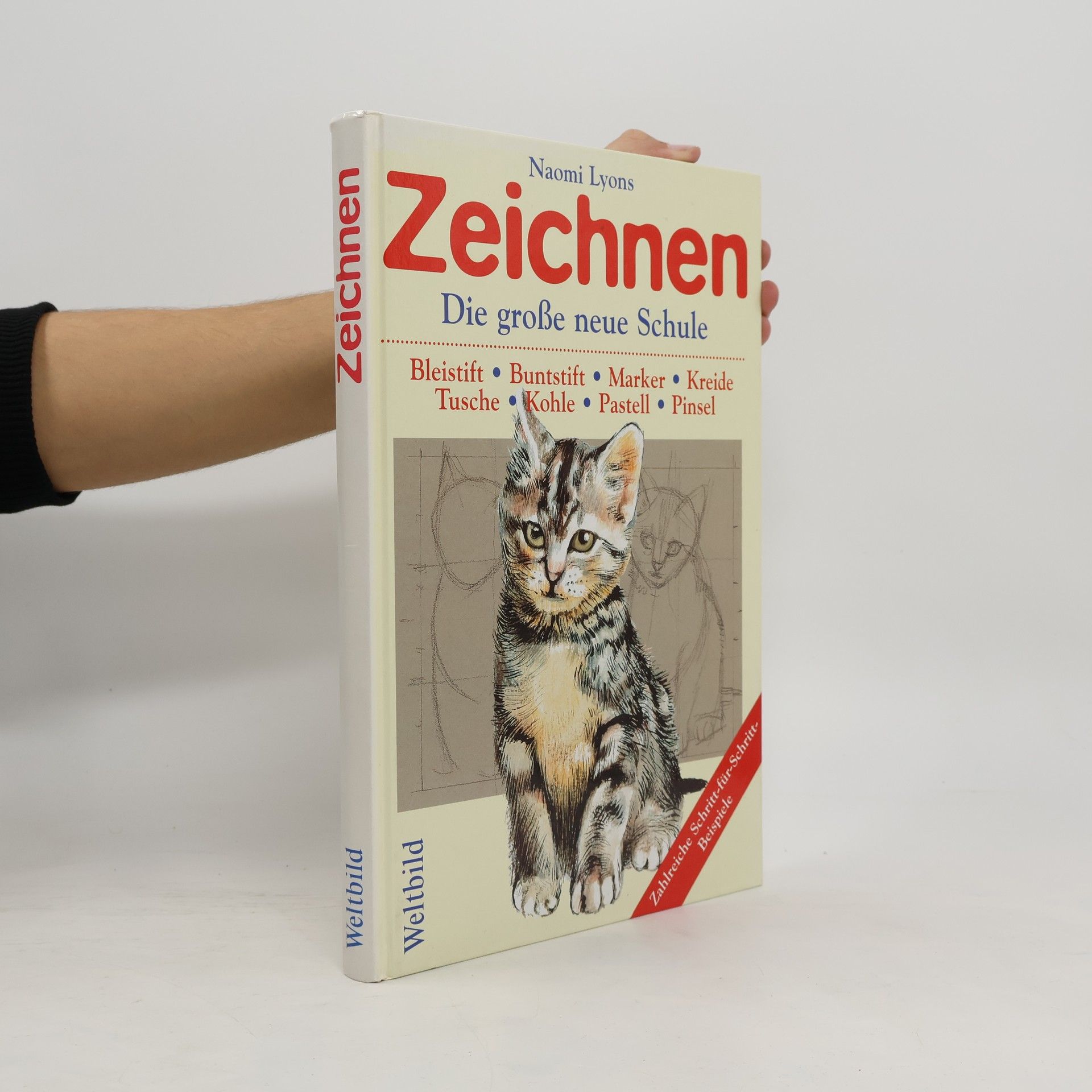 Naomi Lyons Zeichnen - Die große neue Schule