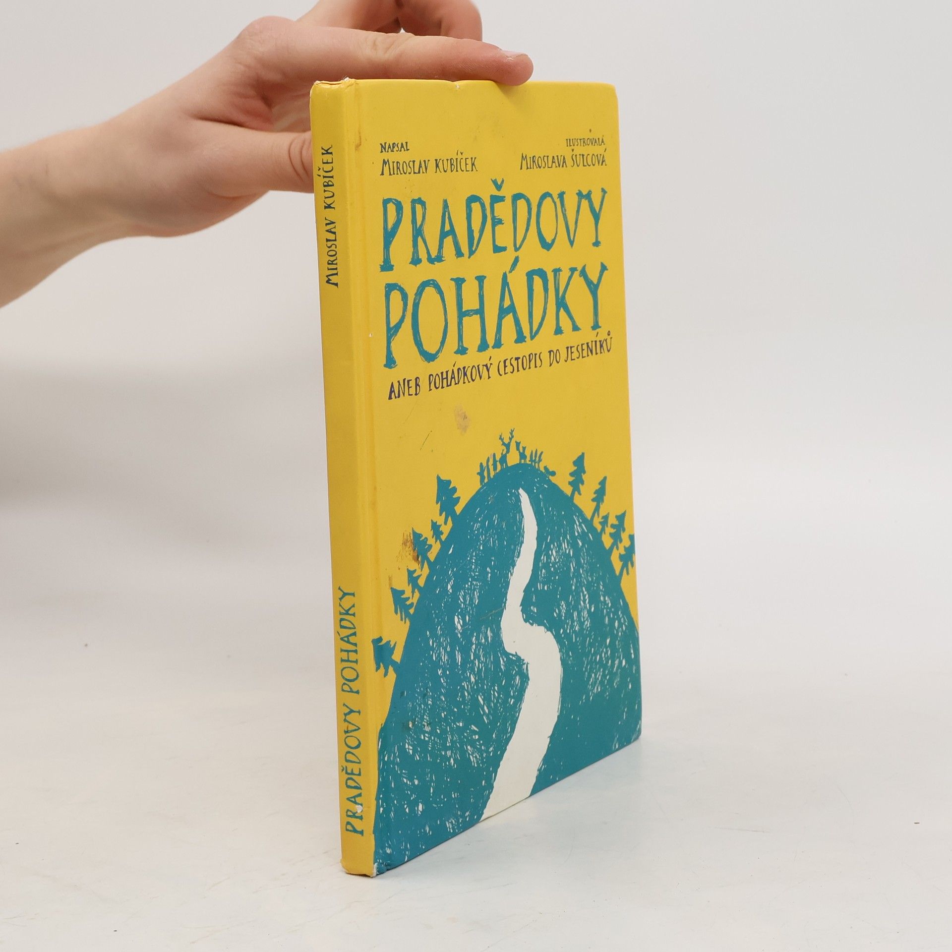 Angela Marsons První krev