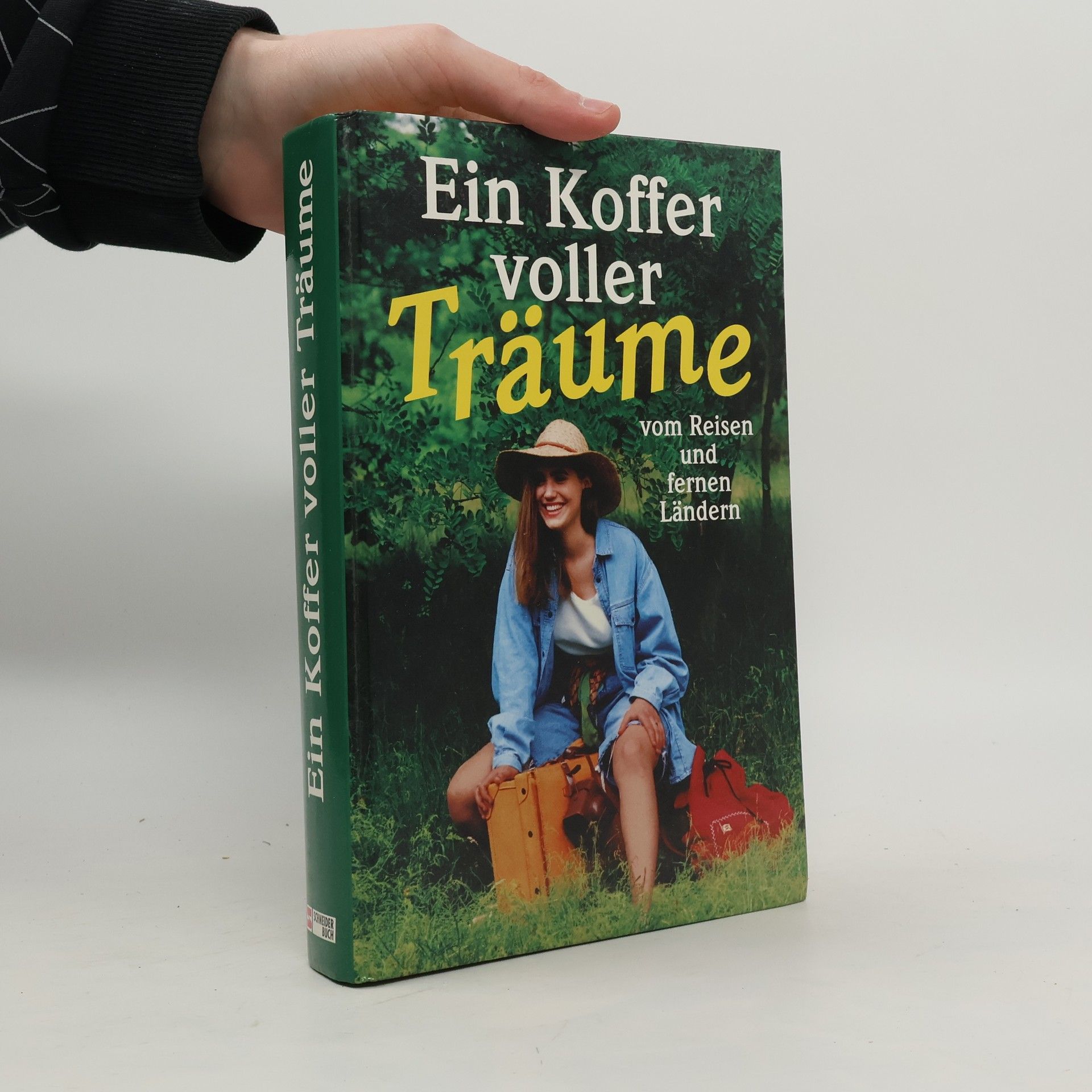 Lynn Austin Ein Koffer voller Träume von Reisen und fernen Ländern