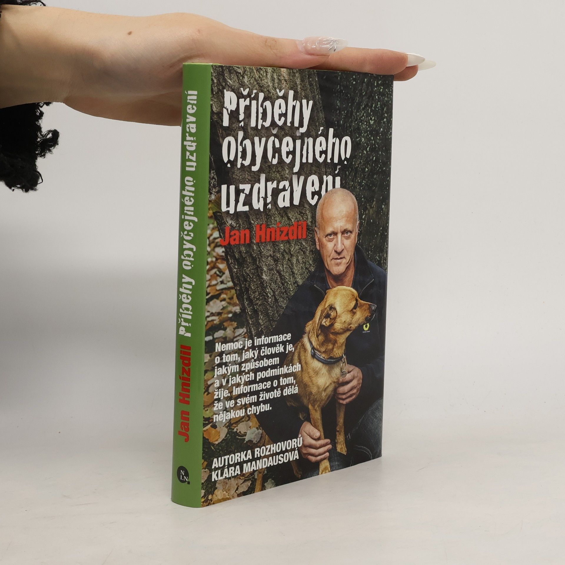 Jan Hnízdil Příběhy obyčejného uzdravení